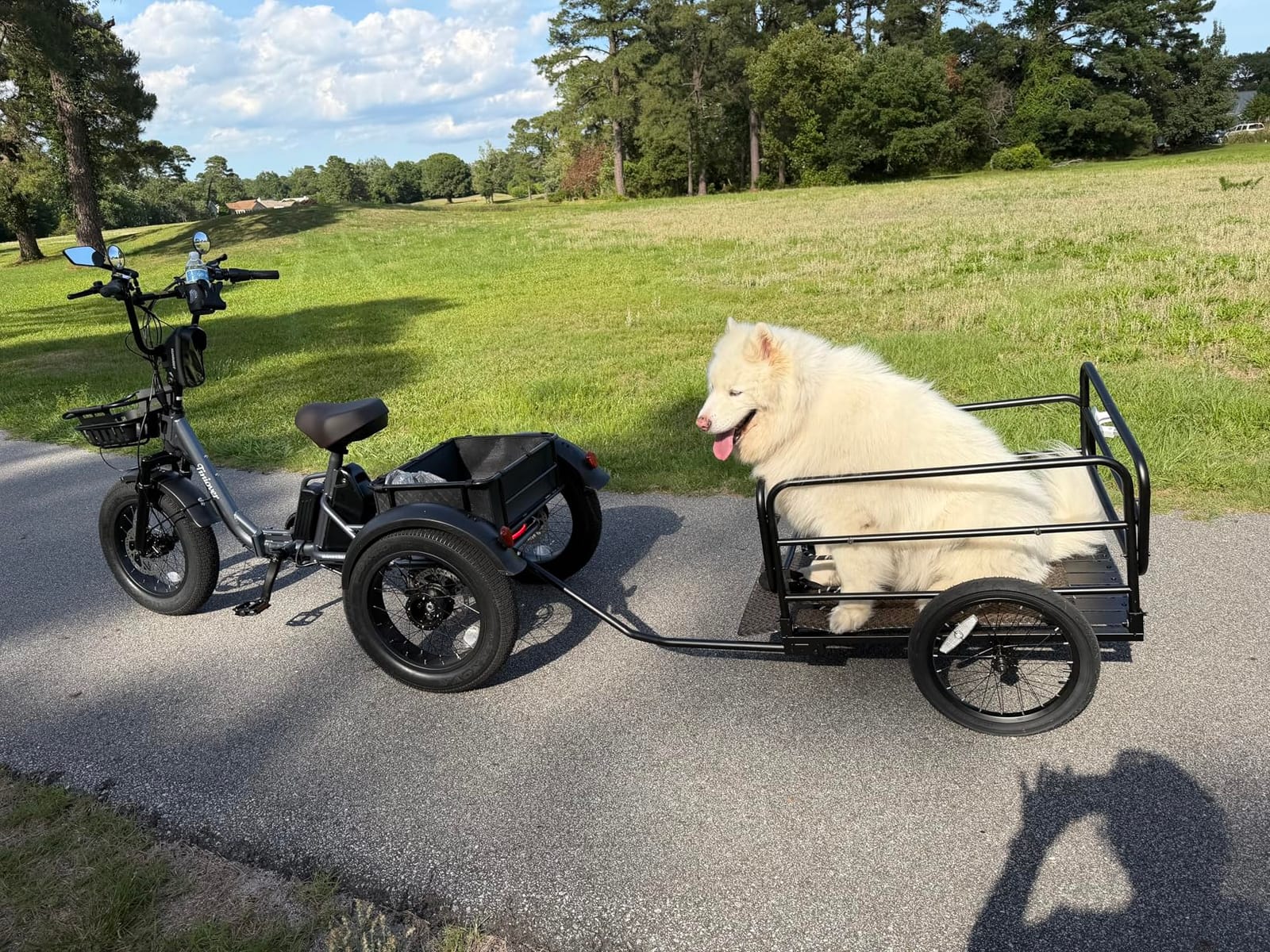 Folding Electric Tricycle for Adults 2 Seater, 20MPH 100 Miles 4