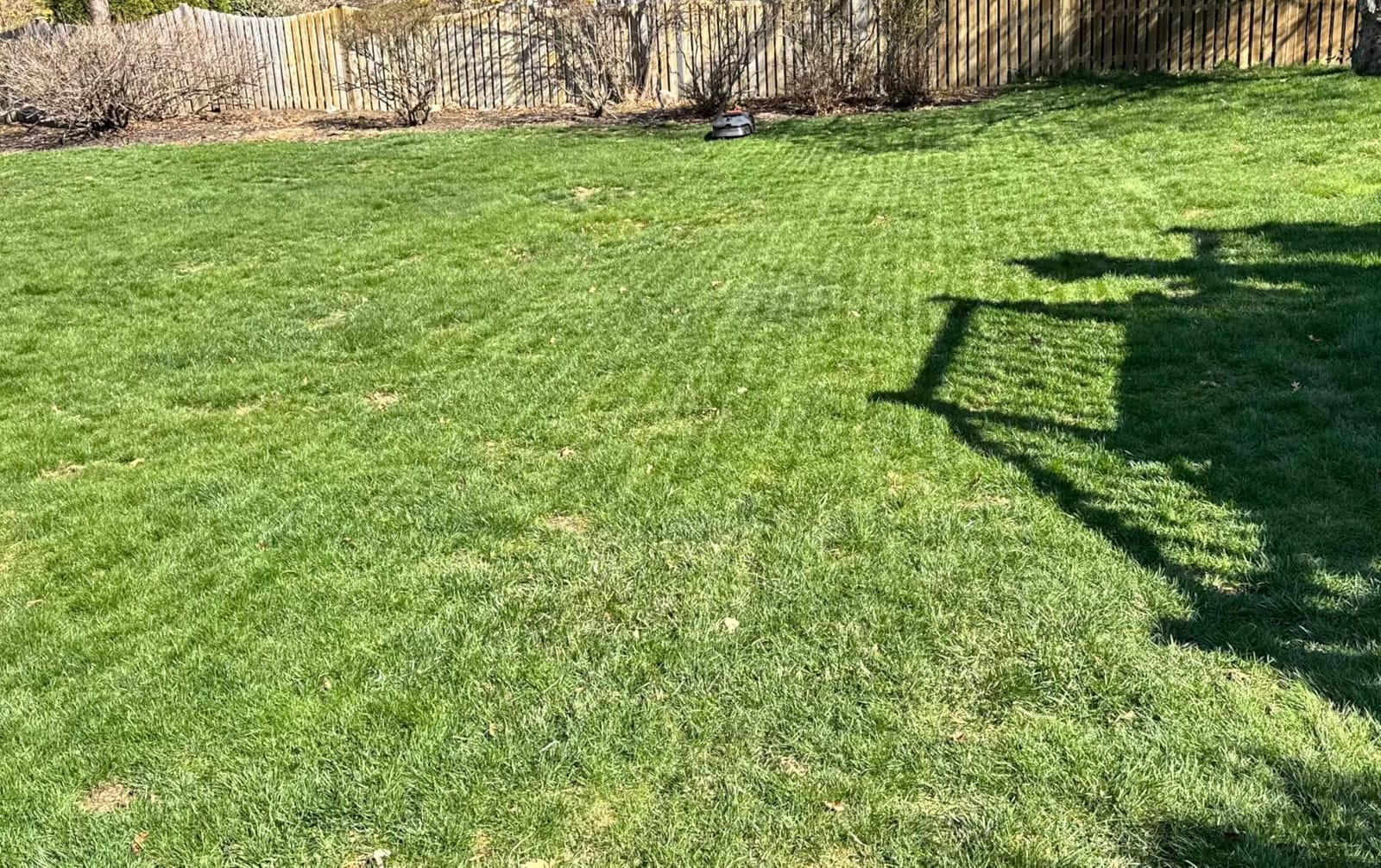 MOVA LiDAX Ultra 1000 Robot Lawn Mower Wire Free for 1/4 Acre, RTK-Free+360 3D LiDAR+AI Vision Auto Mapping, Zero-Edge Cutting, Cutting Height 1.2-3.9, 45% Slope, Up to 150 Managed Zones Dual Maps customer photo 2
