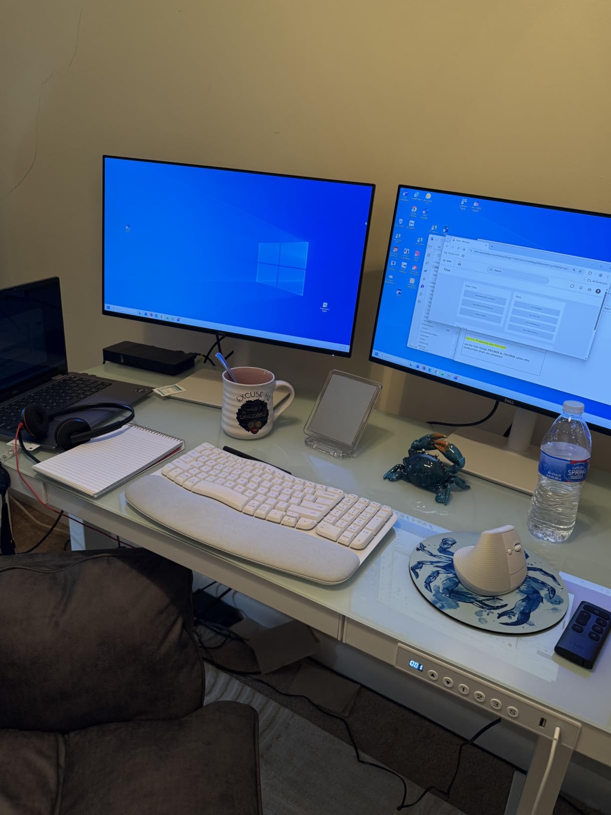 Dell 24 Plus Monitor S2425HSM - 23.8
