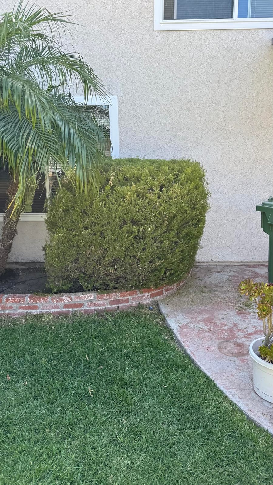 22 inch Hedge Trimmer Cordless with 2 Battery and Charger, 20V Handheld customer photo 2