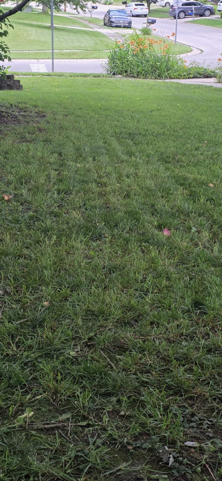 Sunseeker S4 Robot Lawn Mower, 3D LiDAR, Vision AI, 0.25 Acre, Wire-Free for Complex Yards, Trees, Shade and Narrow Passages customer photo 2