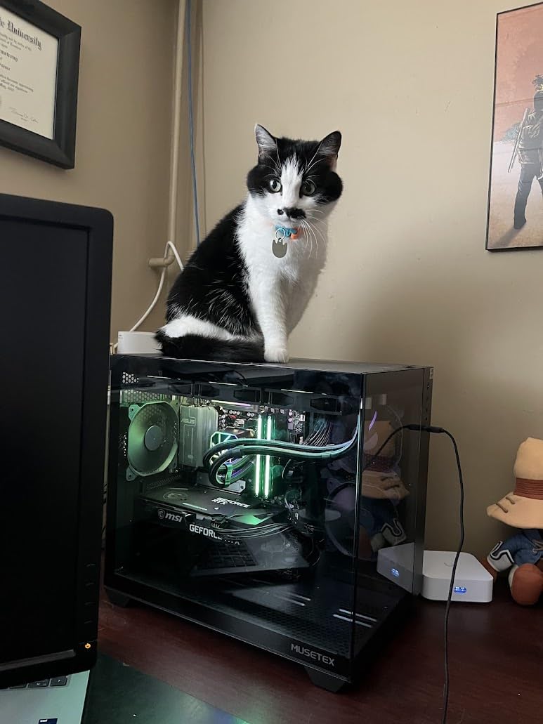 MUSETEX Y6 PC Case, Pre-Installed 4 Non-LED Fans, ATX Mid Tower Case, Computer Case with Type-C, 270° Full View Tempered Glass, Black customer photo 2