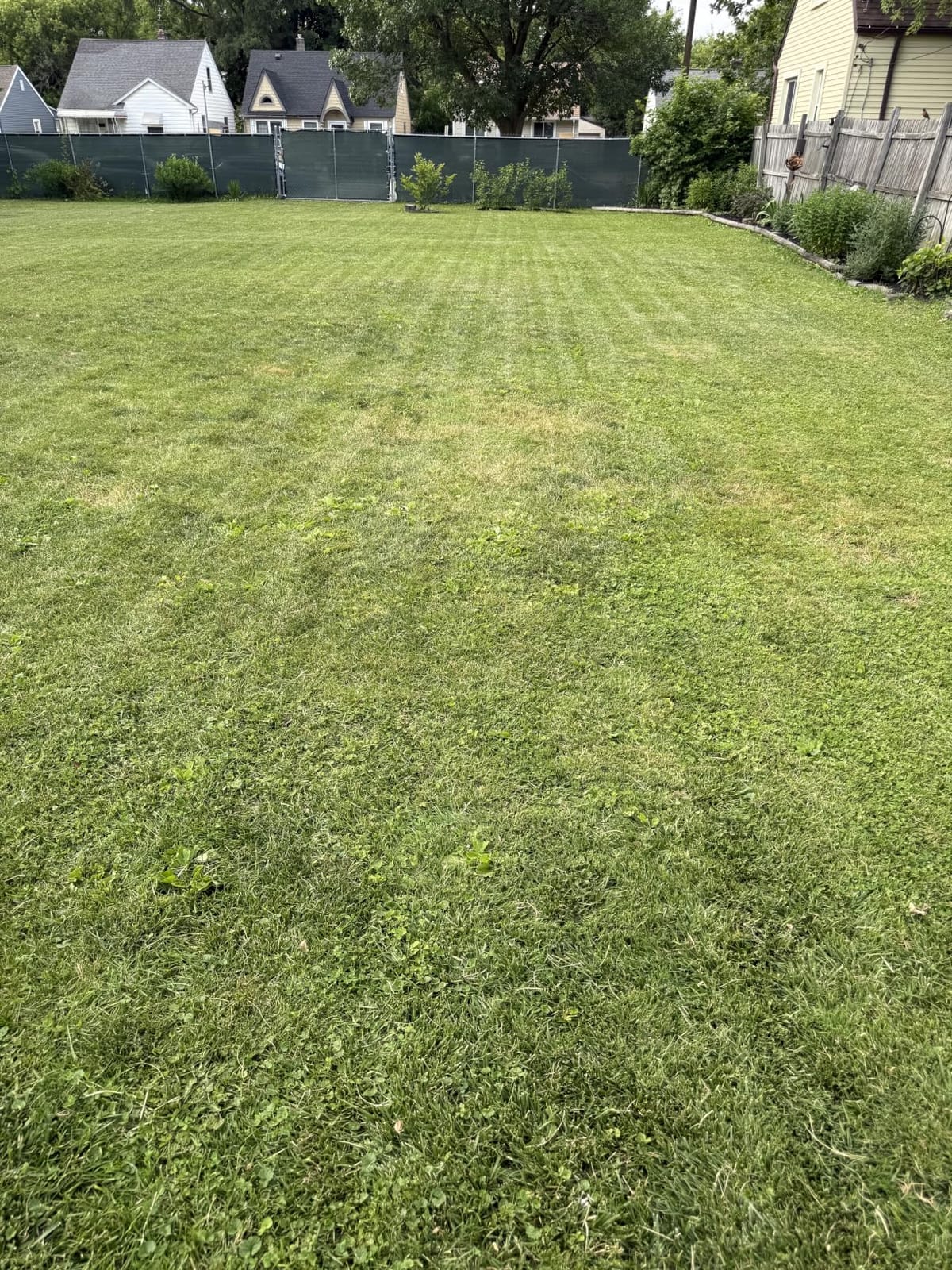 ECOVACS Goat A3000 LiDAR PRO Robotic Lawn Mower, Dual LiDAR Navigation, For Lawns Up to 3/4 Acre, Fast Charging, High-Efficiency Mowing up to 400 m2/h, Built-in TruEdge Edge Trimmer, App Control customer photo 1