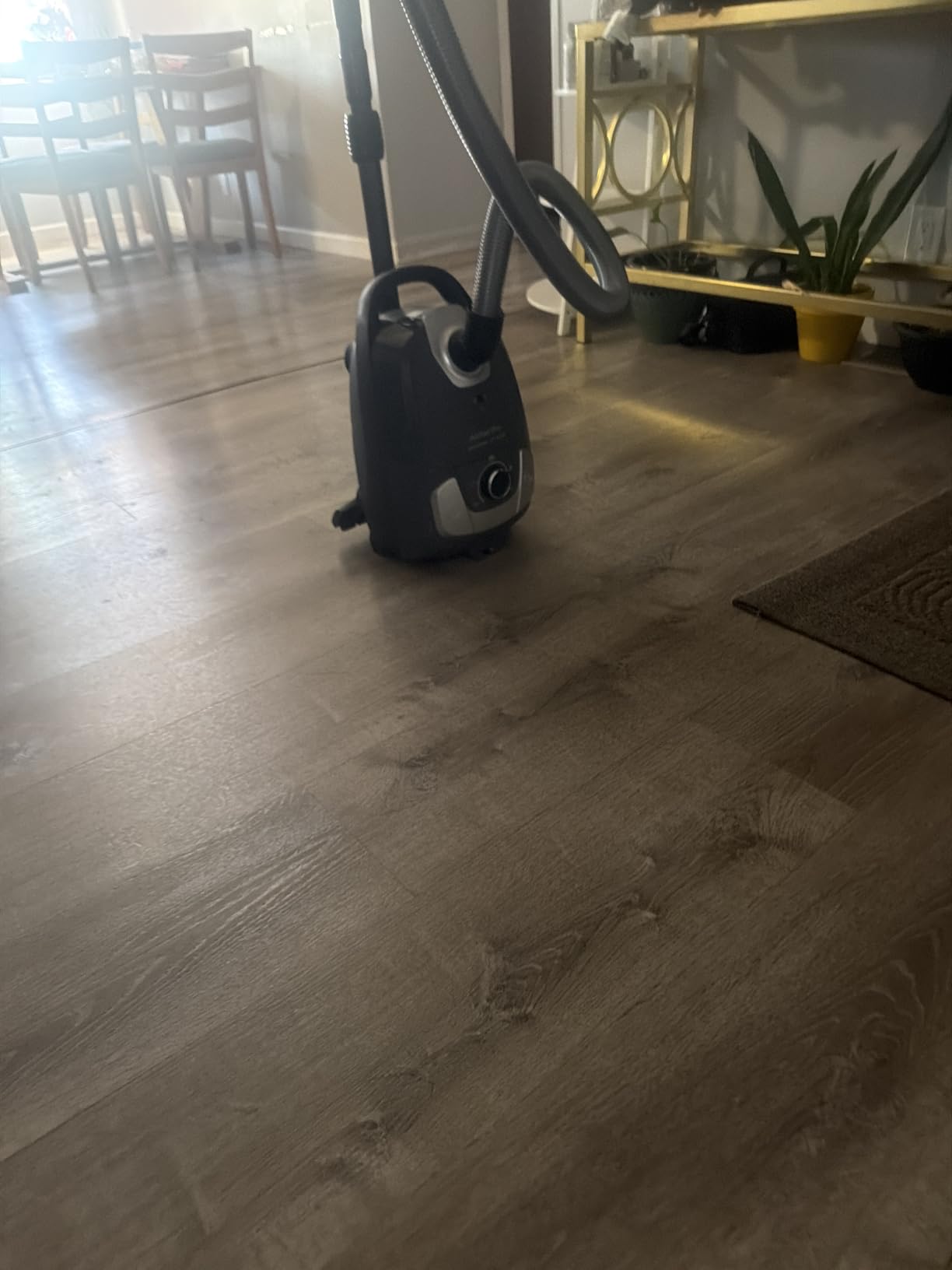 Akitas C11WT Bagged Canister Vacuum Cleaner, Wessel Turbo Brush for Pet Hair (Cat & Dog), HEPA Filtration, 33ft Cleaning Radius, with Retractable Cord and Wide Parquet Brush customer photo 1