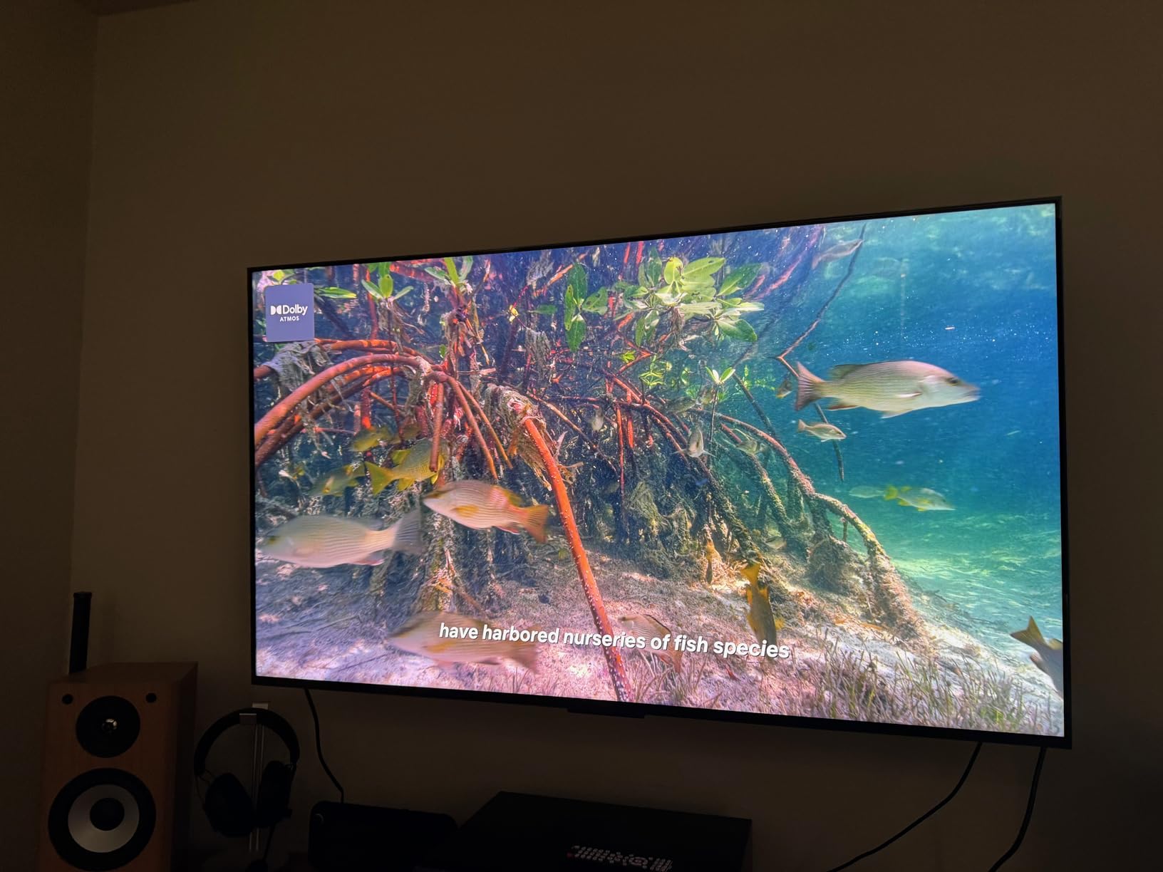 TCL 98 Inch Class QM7L Series | SQD-Mini-LED QLED Smart TV (98QM7L, 2026 Model), 144Hz, Google AI Bang & Olufsen customer photo 2