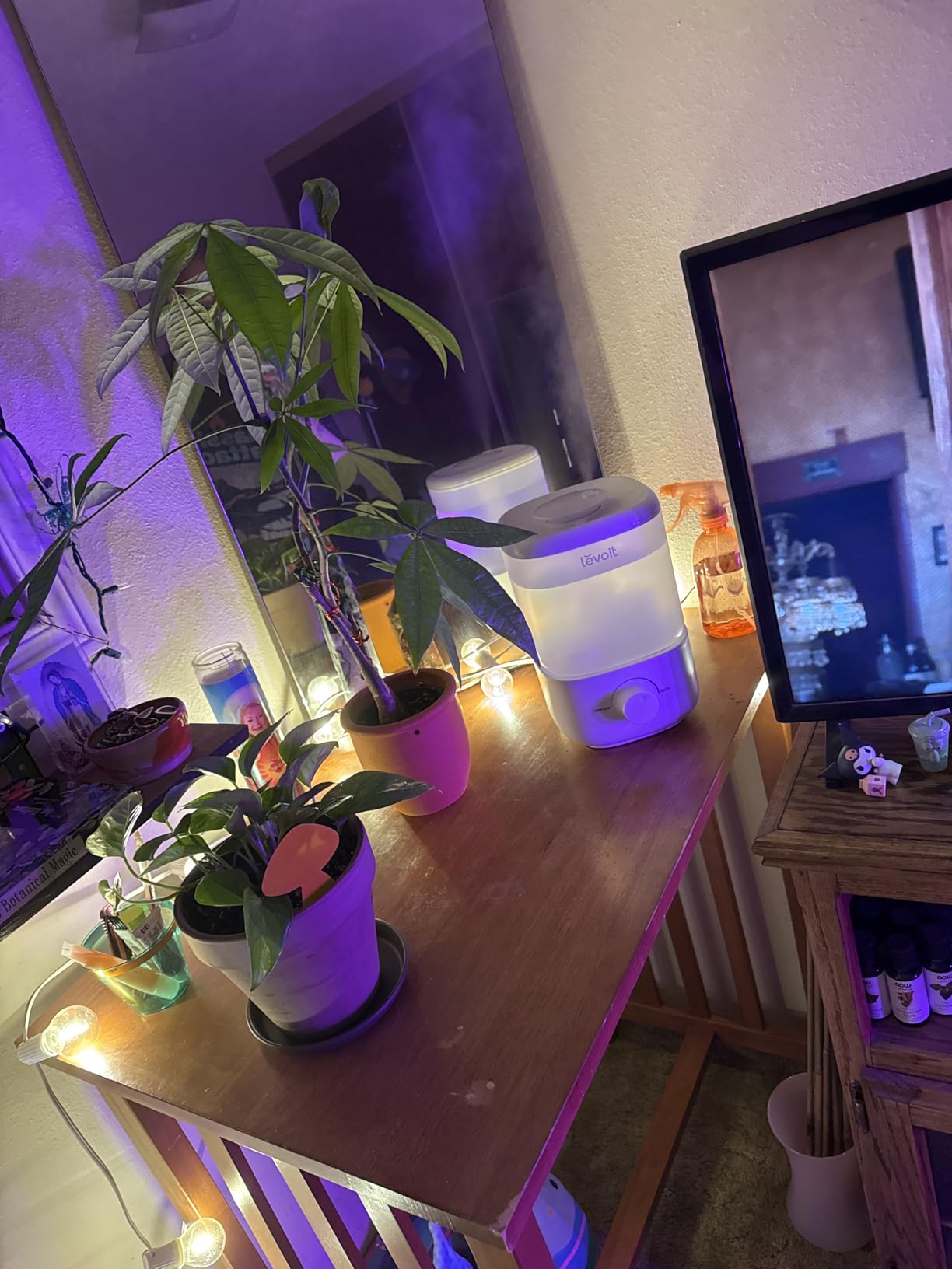 LEVOIT Humidifiers for Bedroom, 4.2L Top Fill for Large Room, 42H Runtime | 42H Runtime, Easy to Clean, 21dB Quiet Cool Mist for Baby, Plants, Night Light, Essential Oil Diffuser customer photo 1
