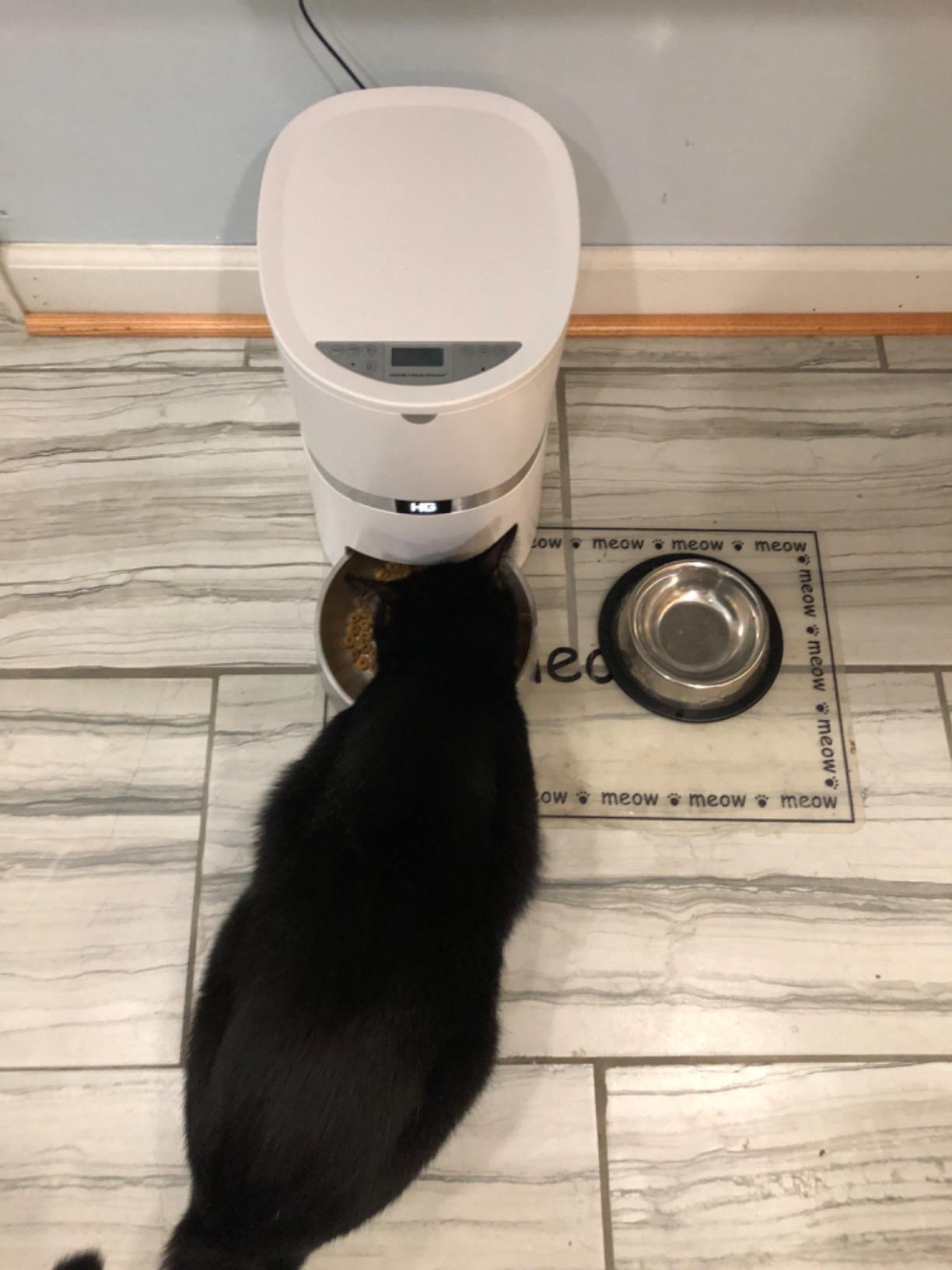 HoneyGuaridan Automatic Cat Feeder for 2 Cats, 2.4/5G WiFi Smart Feed Pet Feeder with Stainless Steel Bowl, APP Control Dispenser, Dual Power Supply, Desiccant Bag, 10s Meal Call Black customer photo 1