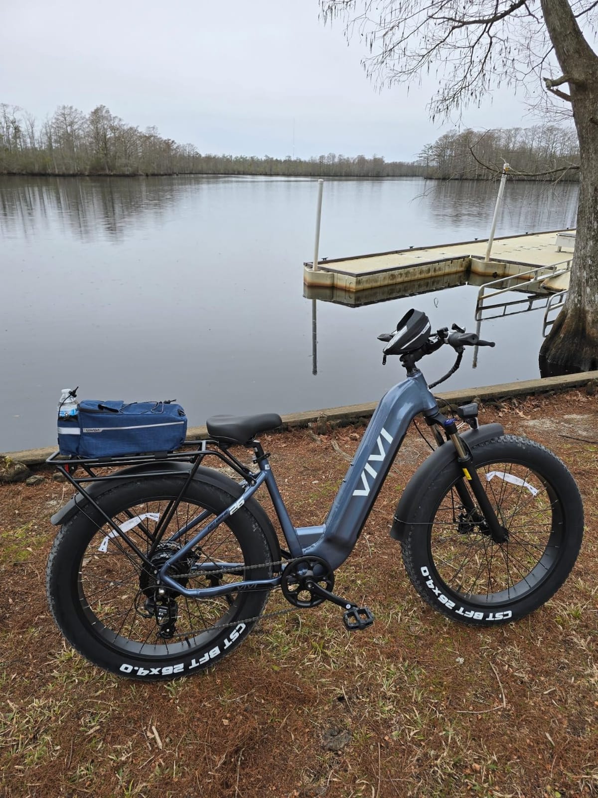 Vivi ACE07 Electric Bike for Adults, 26