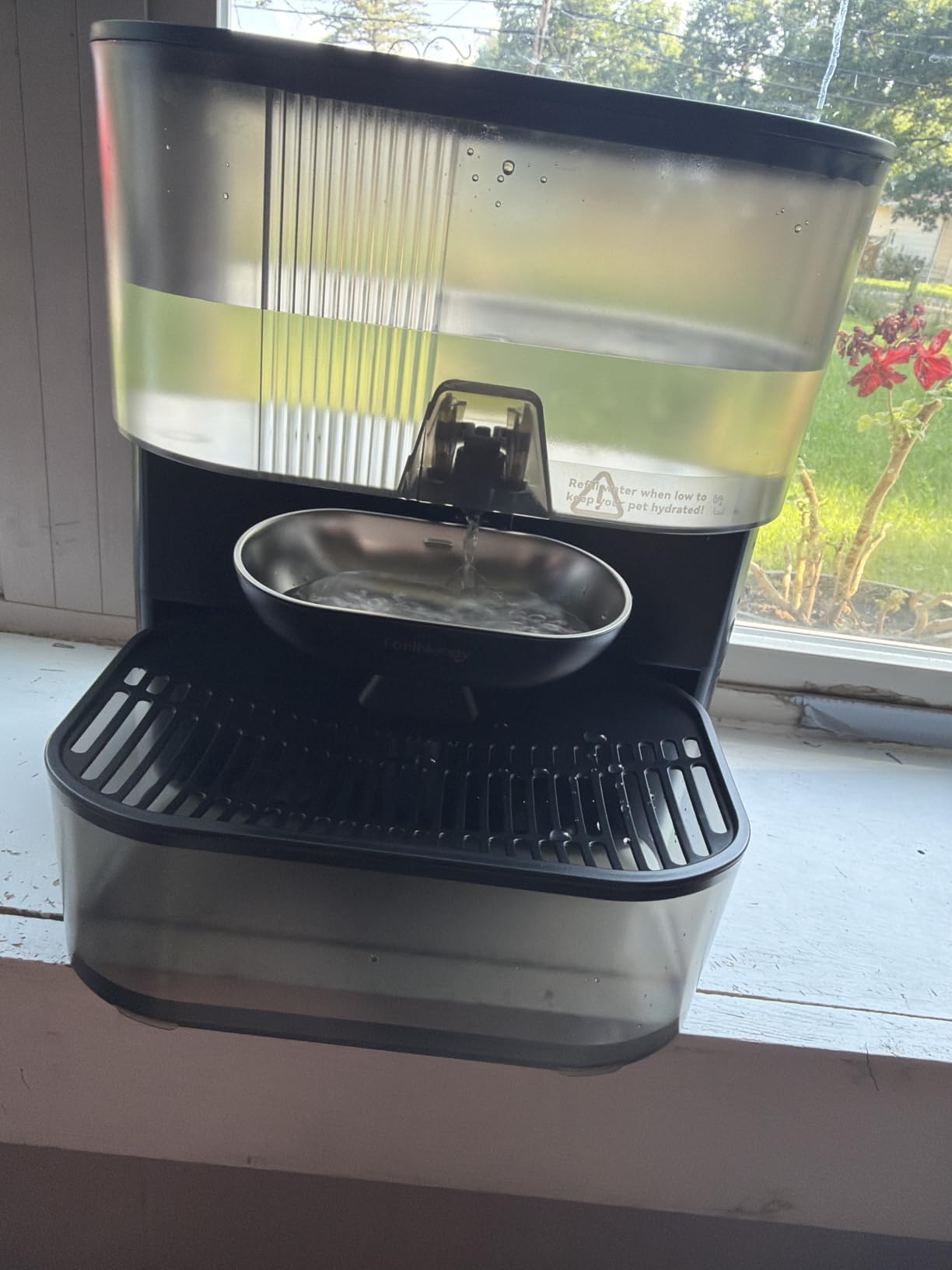 Wireless Cat Water Fountain No Filters, Wastewater Separation, FEELNEEDY Stainless Steel Bowl, 3.5L Pet Water Fountain for Cats & Dogs Dispenser, Black customer photo 2