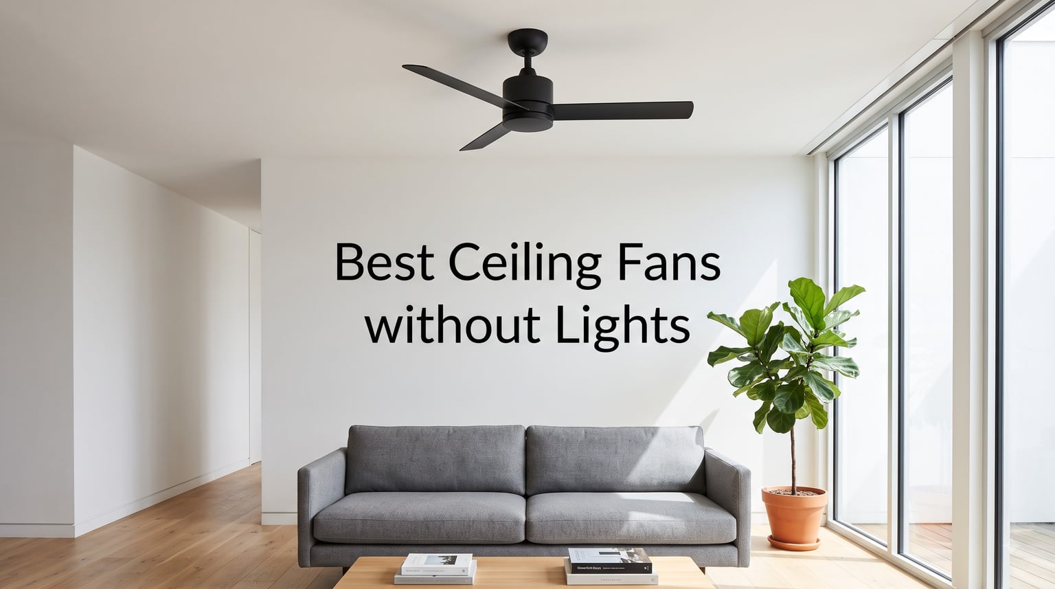 Best Ceiling Fans without Lights