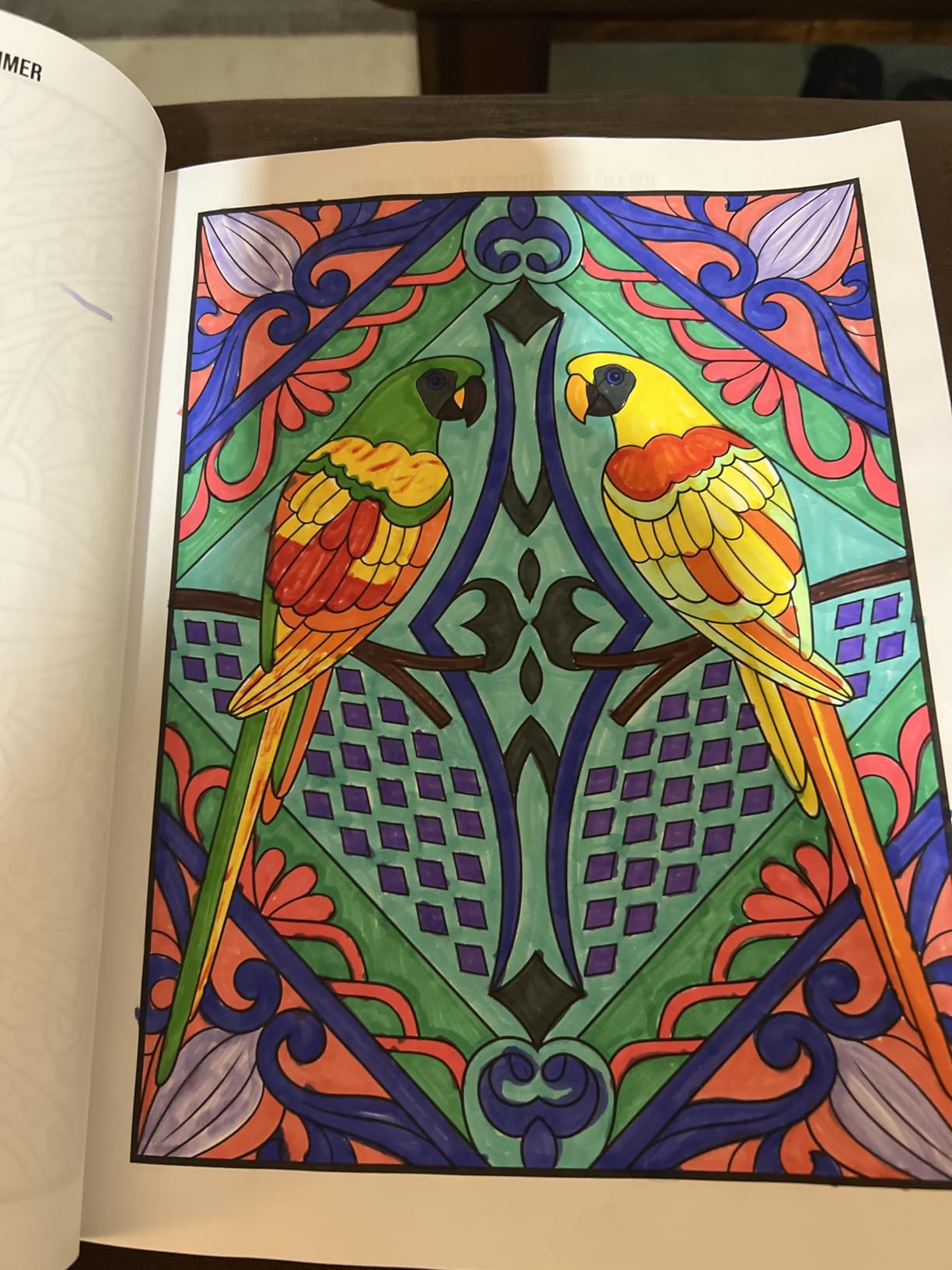 100 Amazing Patterns: An Adult Coloring Book with Fun, Easy, and Relaxing Coloring Pages customer photo 1
