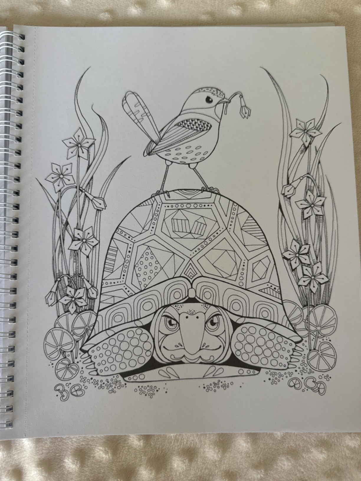 Color & Frame - In the Forest (Adult Coloring Book) customer photo 1