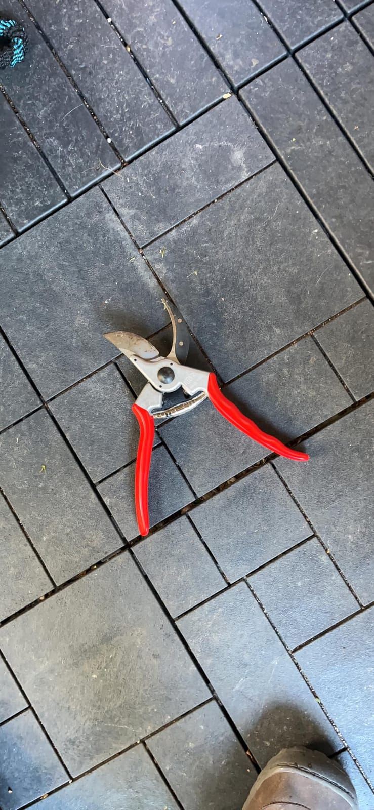 Felco F2 Pruning Shears – 9.25