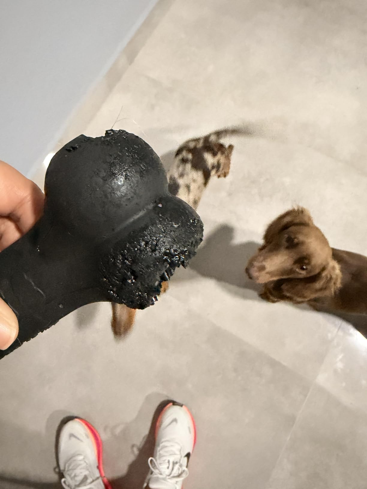 KONG Extreme Goodie Bone, Durable Natural Rubber, Black, for Medium Dogs customer photo 1
