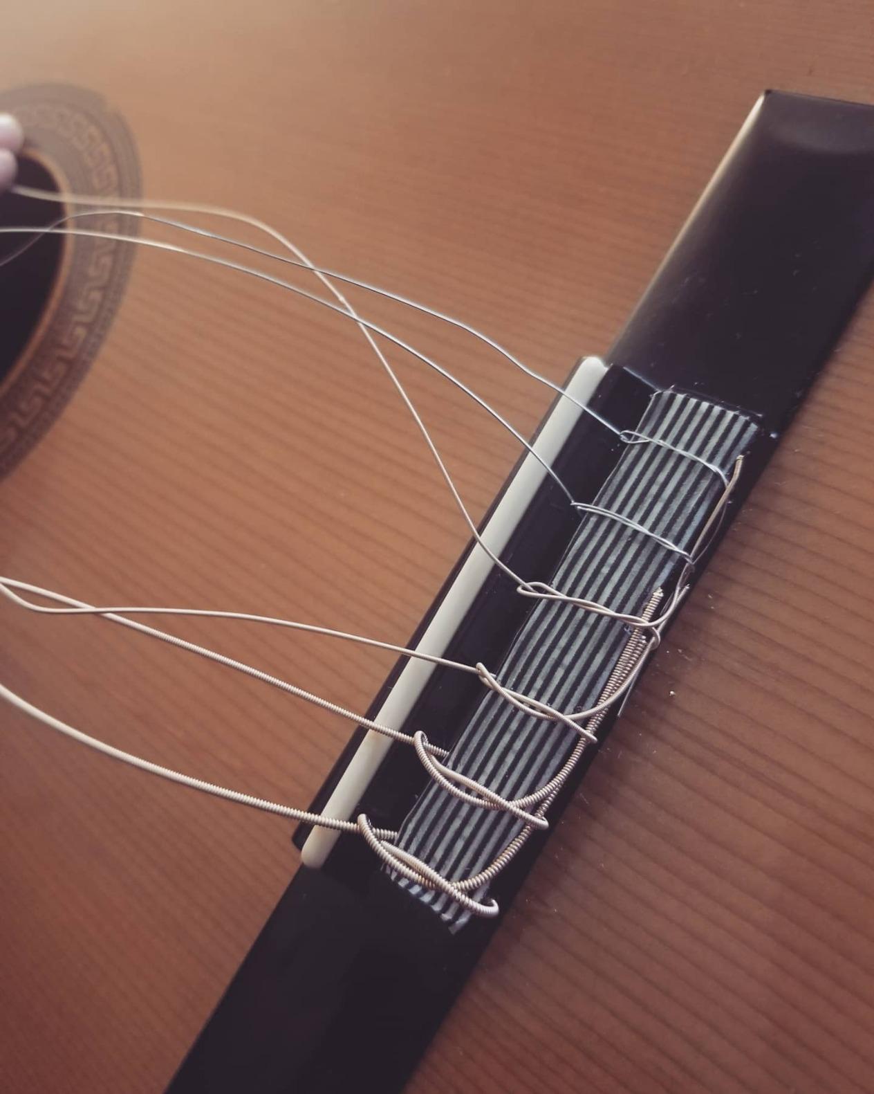 Ernie Ball Earthwood Medium Light Phosphor Bronze Acoustic Guitar Strings, 12-54 Gauge (P02146) customer photo 1