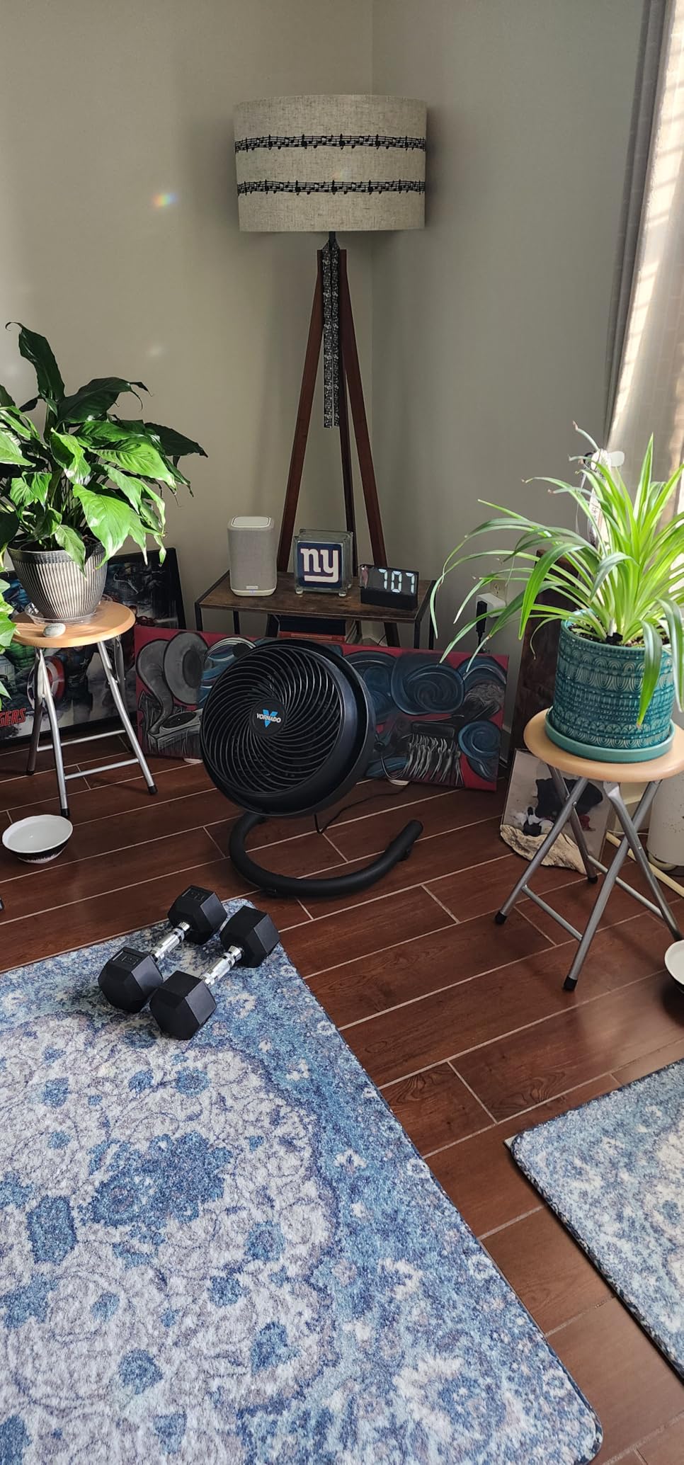 Vornado 723 Full-Size Whole Room Air Circulator Fan, Black, Large customer photo 1