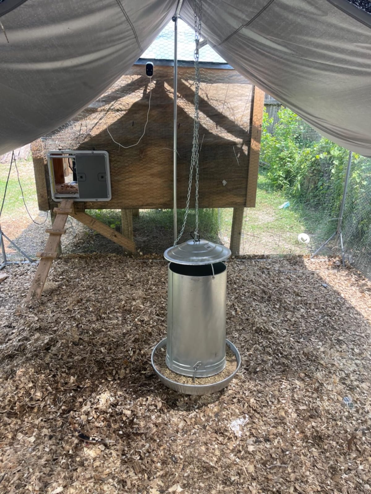 Little Giant® Hanging Metal Poultry Feeder | Chicken Feeder | Outdoor Hanging Bird Feeder | Galvanized Steel Feed Container with Hanging Handle | 40 Pound customer photo 2