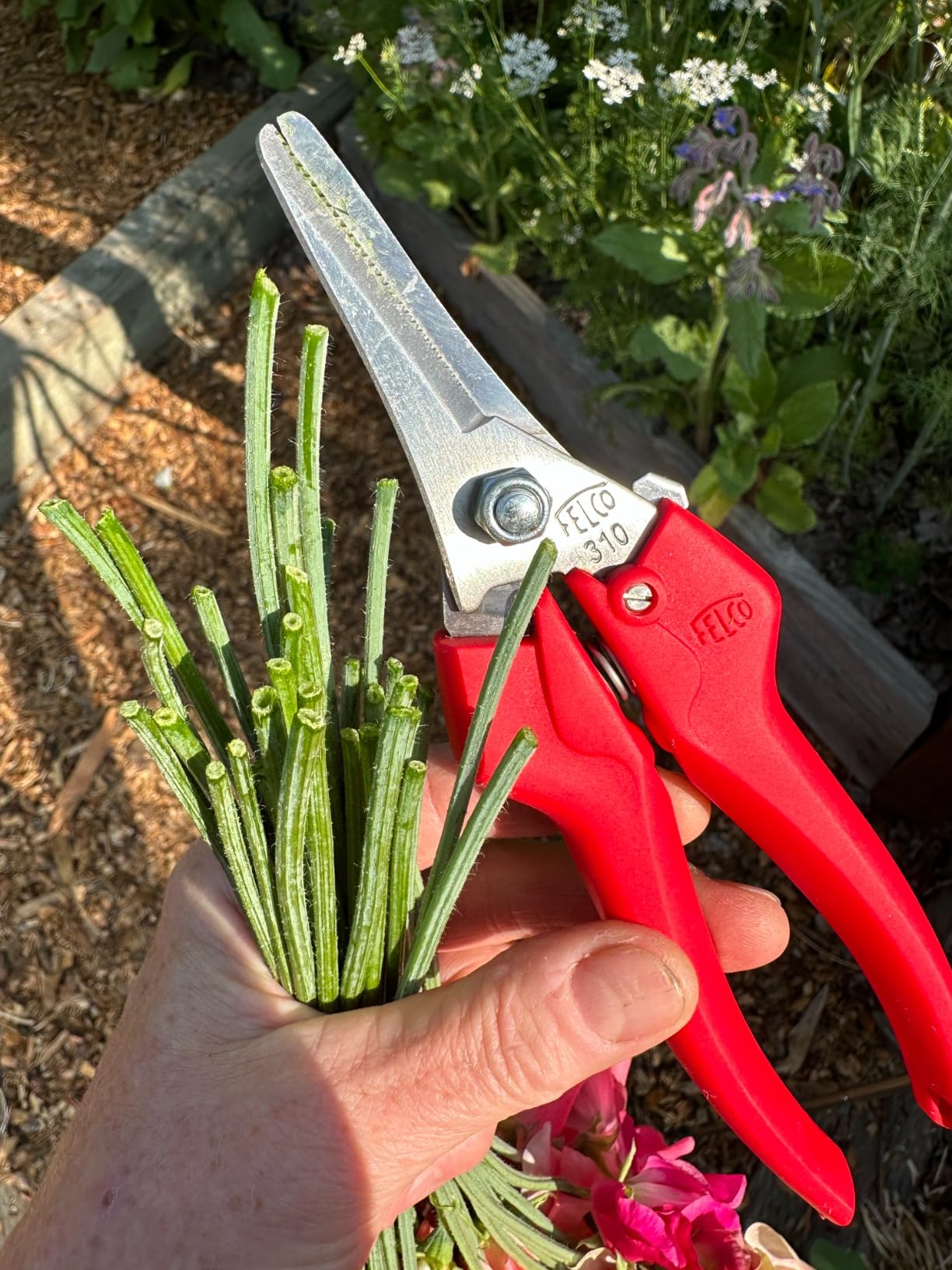 Felco F310 Pruning Snips – 7.3