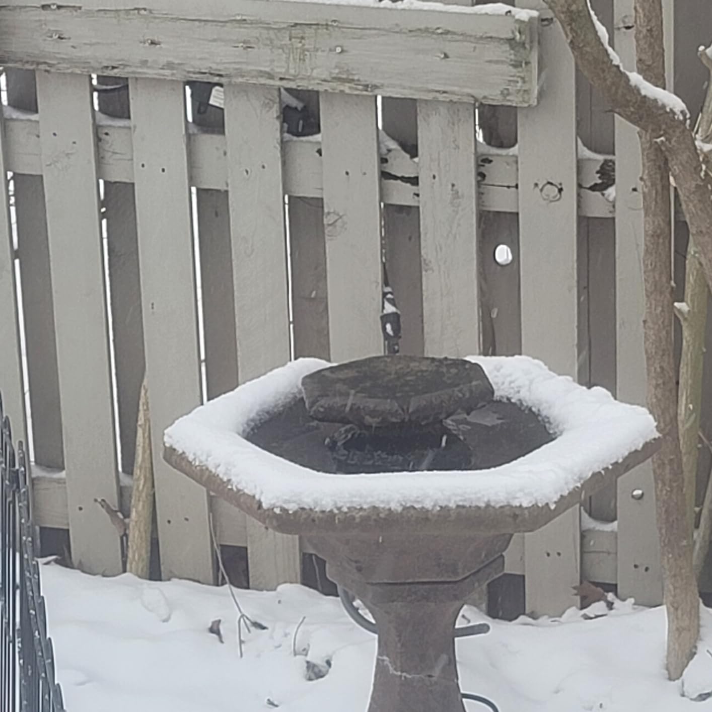 Allied Precision BDT250 Bird Bath De Icer Multiple Thermostat, 250-Watt, Metallic, 4.75-inch diameter customer photo 1