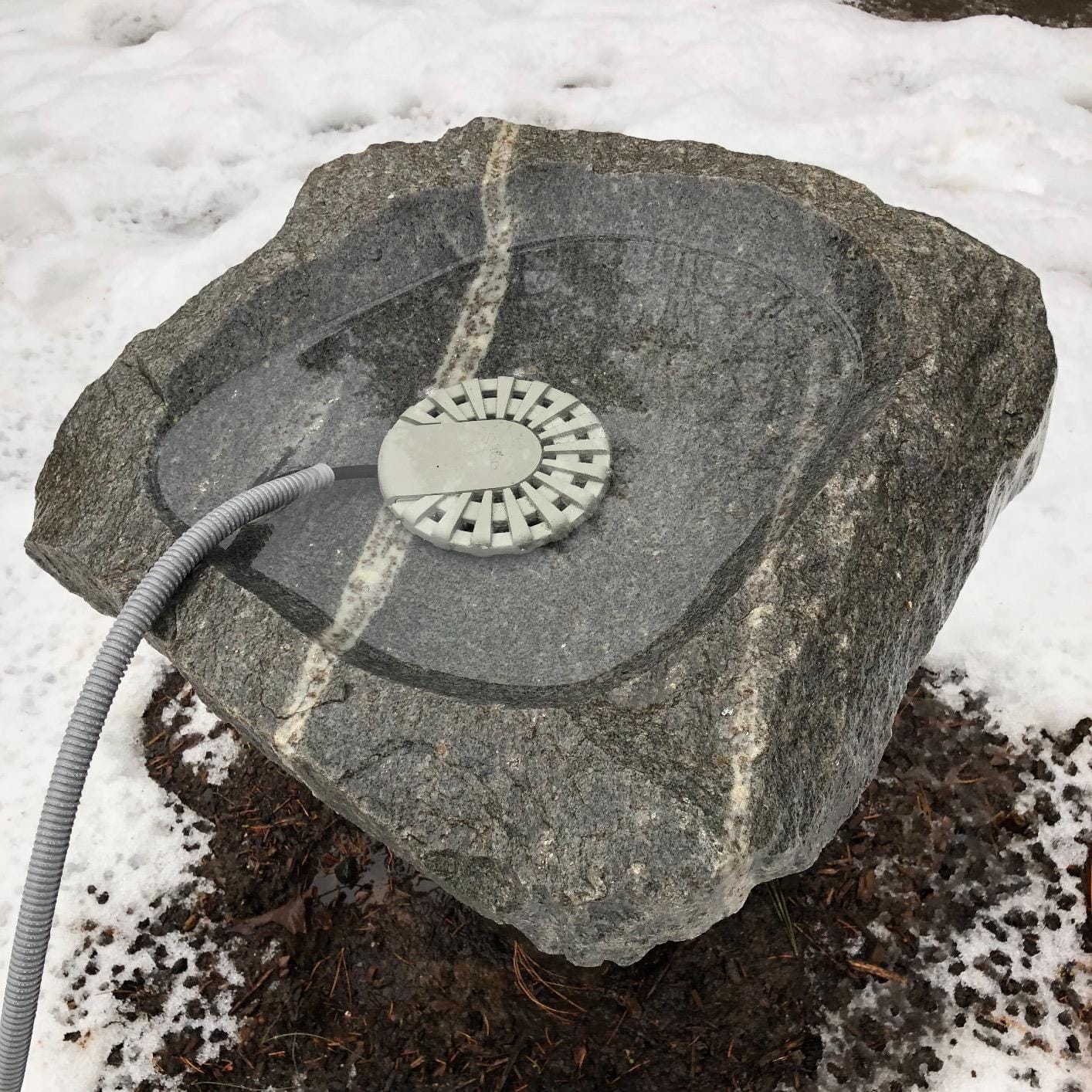 Allied Precision BDT250 Bird Bath De Icer Multiple Thermostat, 250-Watt, Metallic, 4.75-inch diameter customer photo 2