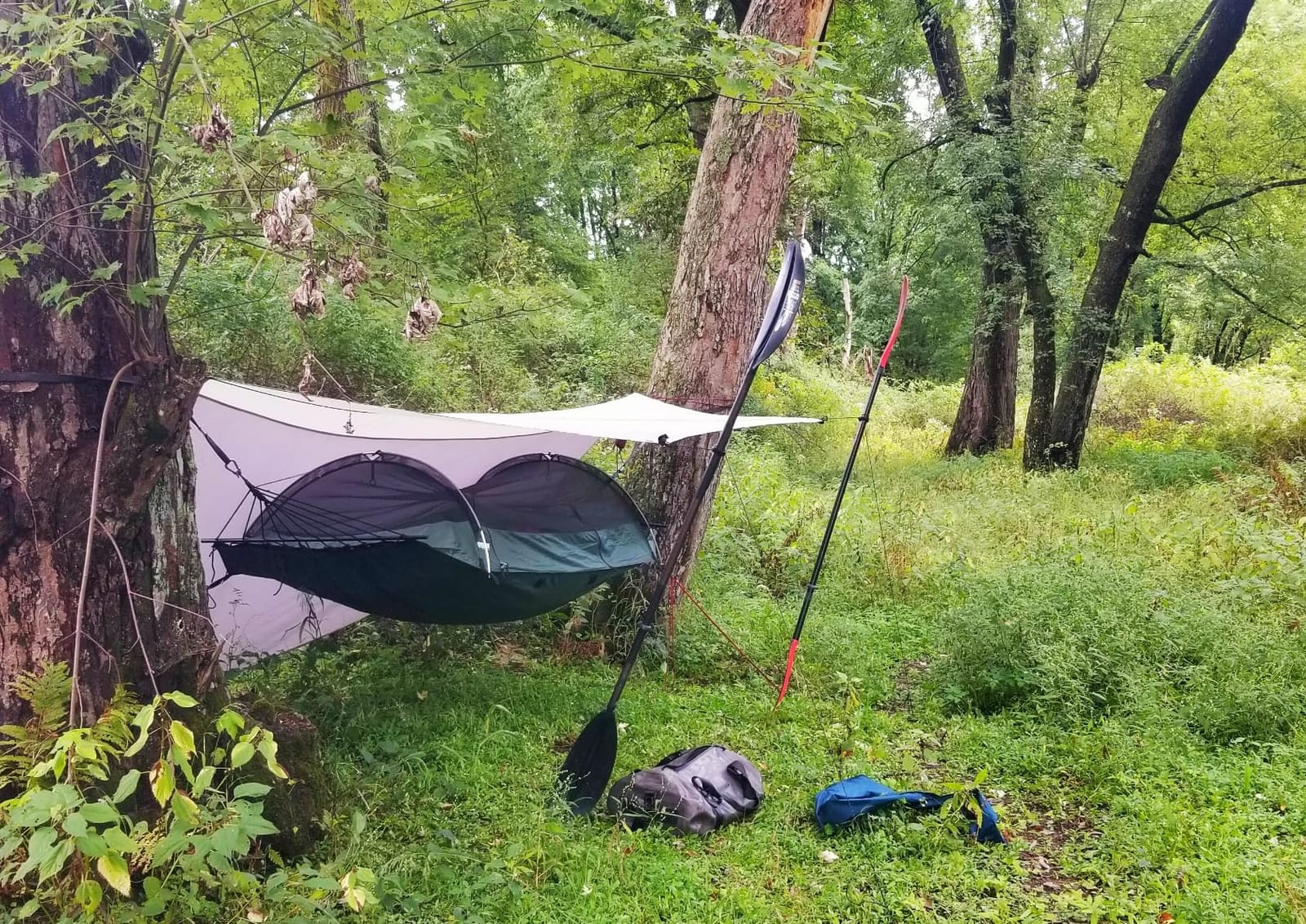 Lawson Hammock Blue Ridge Camping Hammock and Tent, customer photo 1