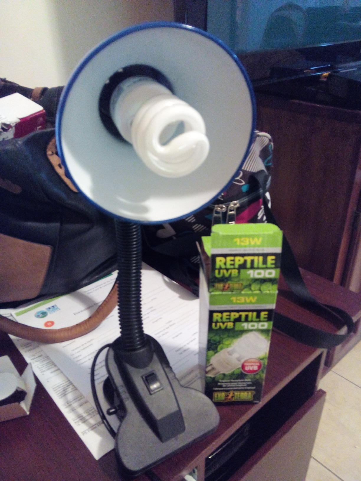 Exo Terra Repti Glo 5.0 Tropical Terrarium Lamp, 13 Watts, Whites and Tans customer photo 1