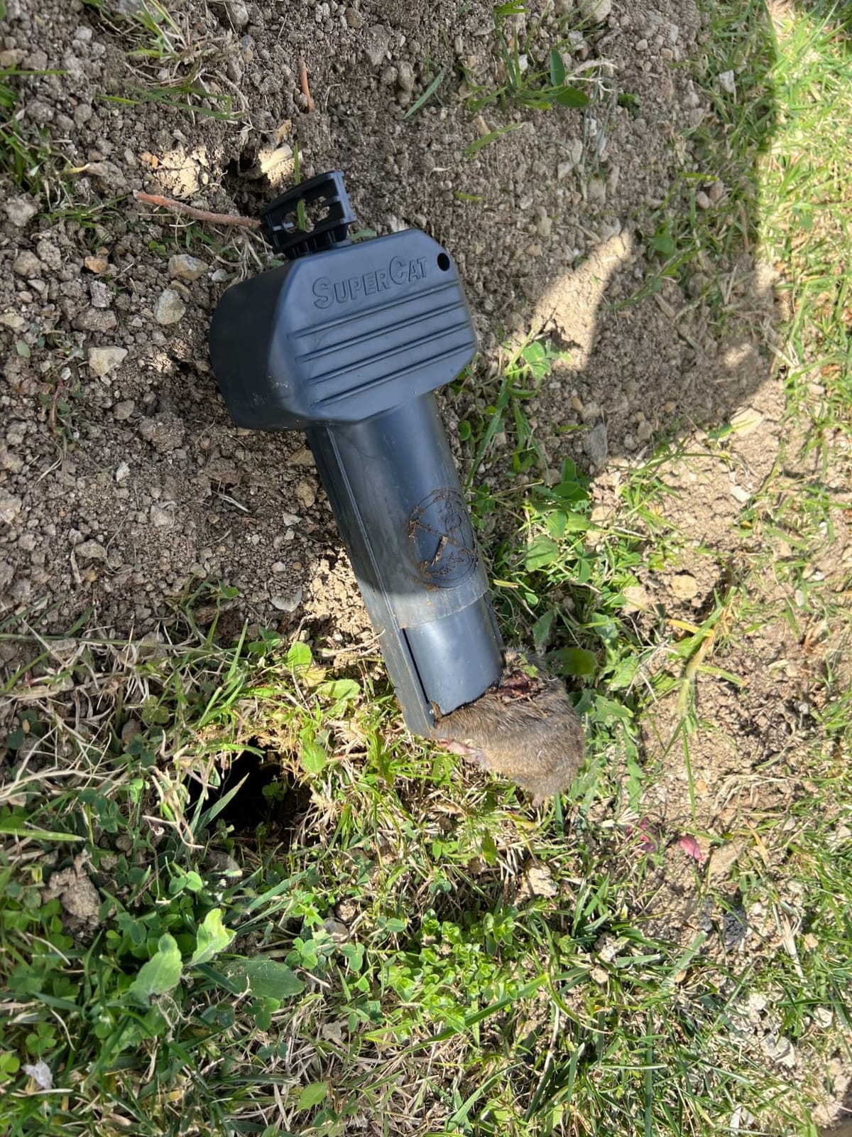SWISSINNO Gopher & Vole Trap PRO SuperCat – 1 Tunnel Traps + 1 Install Kit – Dual Trigger Action for Voles & Field Mice – Easy Setup, Reusable, Made in Europe customer photo 1