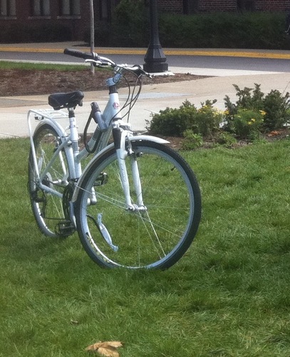 Schwinn Discover customer photo 1