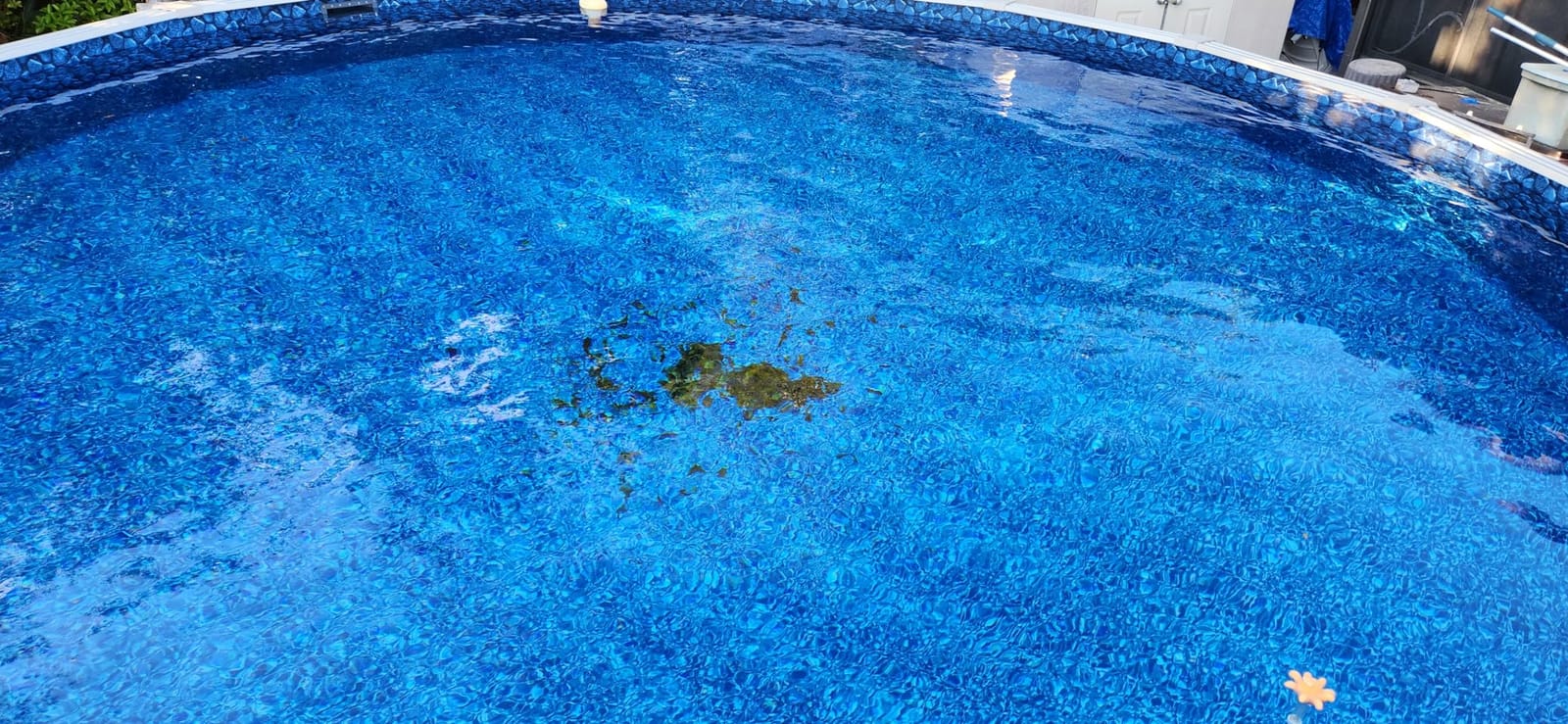 SWIMLINE | Venturi Leaf Bagger Pool Vacuum for Leaves and Debris customer photo 1