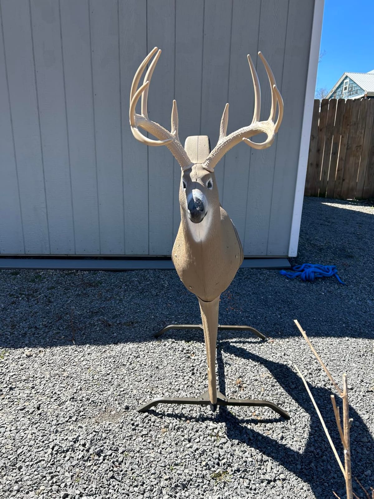 SHOOTER Buck 3D Archery Target, Replaceable Insert for Long Life, Weather-Resistant Construction, High-Density Impact-Response Foam Withstands Field Points, Broadheads, and Expandables customer photo 1