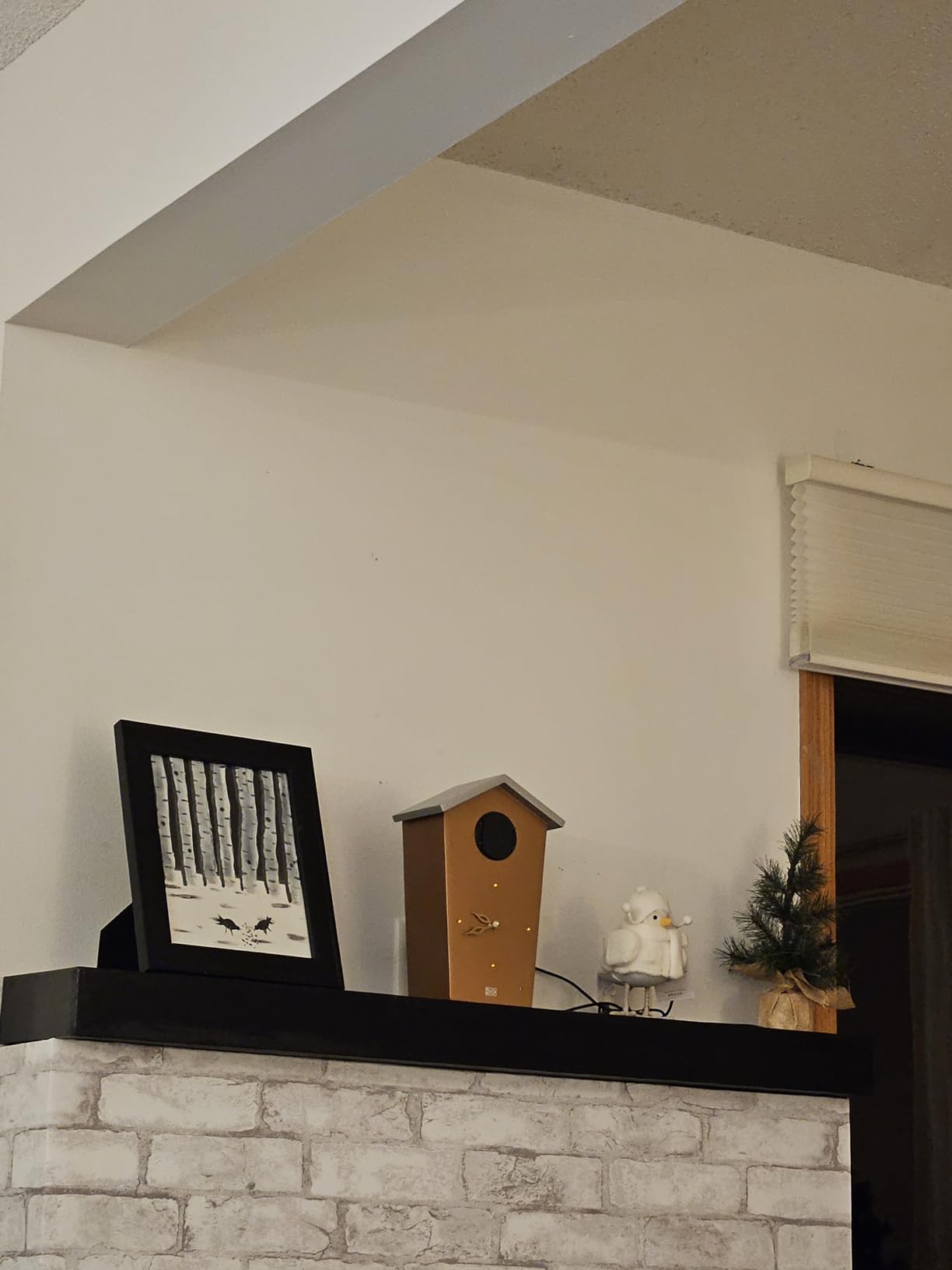 KOOKOO Birdhouse White, modern design cuckoo clock with 12 natural bird voices or cuckoo call customer photo 2
