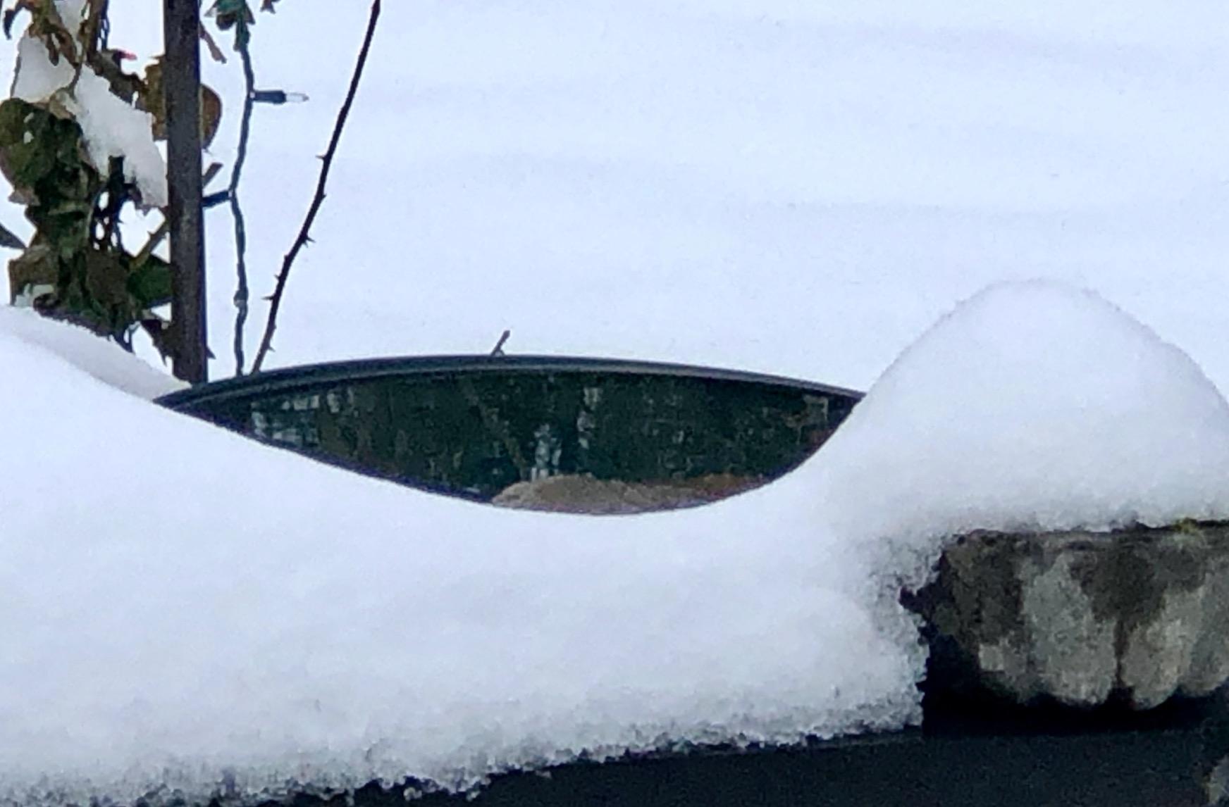 Farm Innovators BD-75 All Seasons 3 in 1 Outdoor 14 Inch Heated Birdbath with 3 Mounting Options, 75 Watts, Terracotta customer photo 2