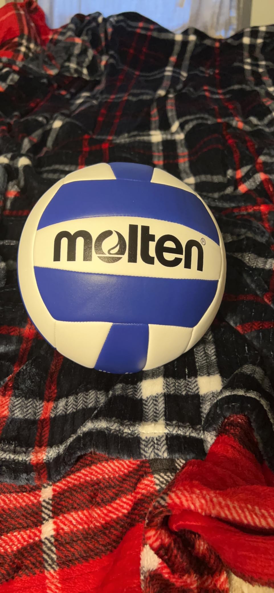 Molten Recreational Volleyball customer photo 2