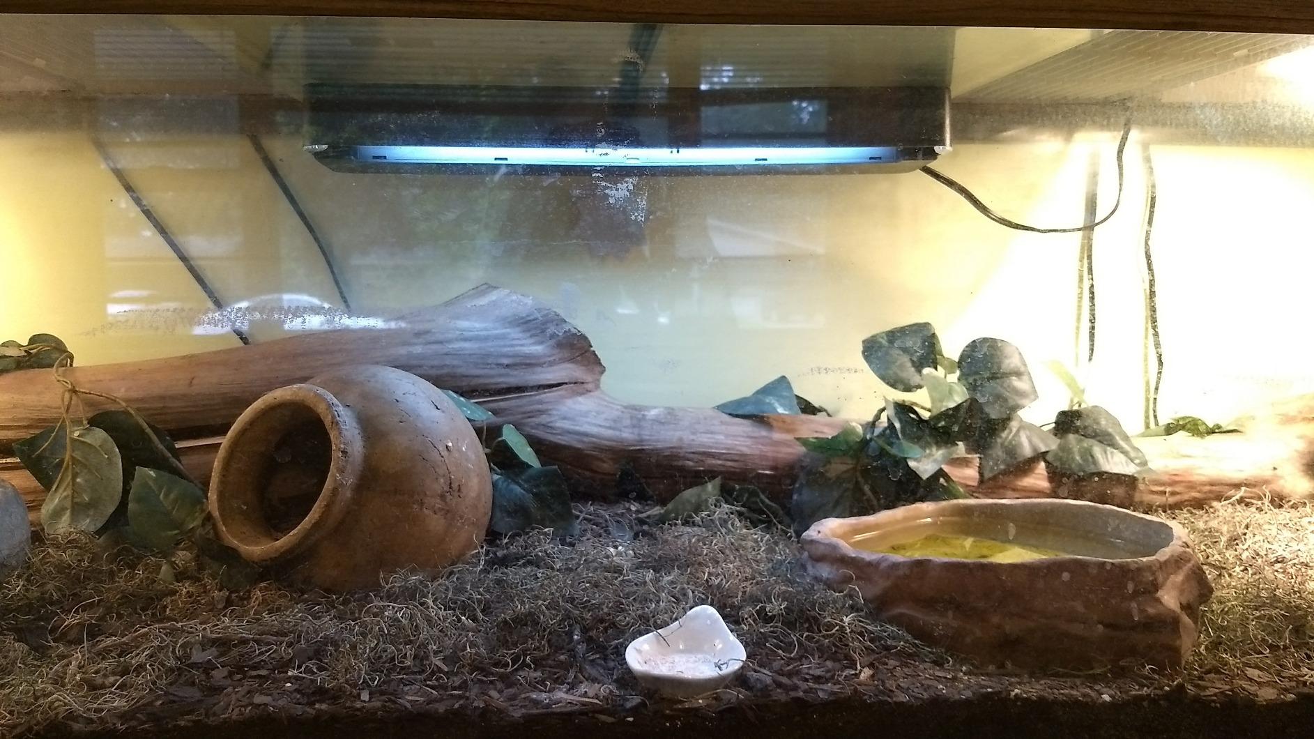 Zilla Reptile T8 Slimline Desert Pet Habitat Light Fixture, 18 Inches customer photo 2