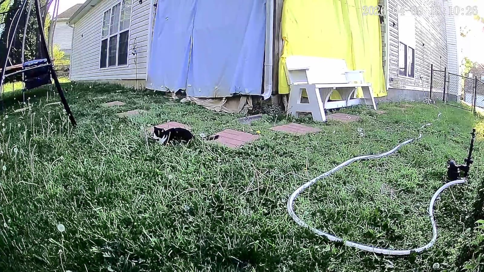 Orbit Yard Enforcer Motion-Activated Sprinkler - 62100 customer photo 1