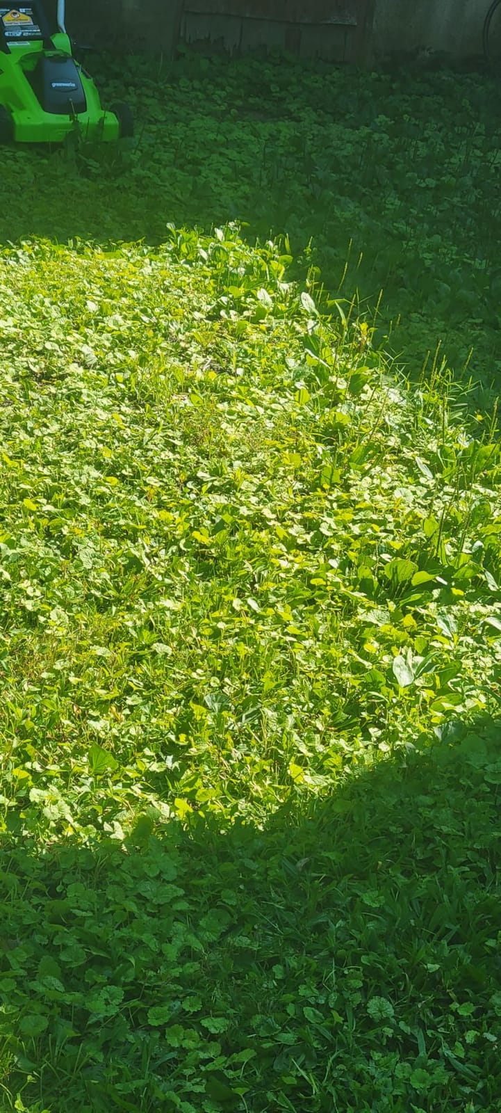 Greenworks 40V 16in Push Lawn Mower, 4.0 Ah Battery and Charger customer photo 1
