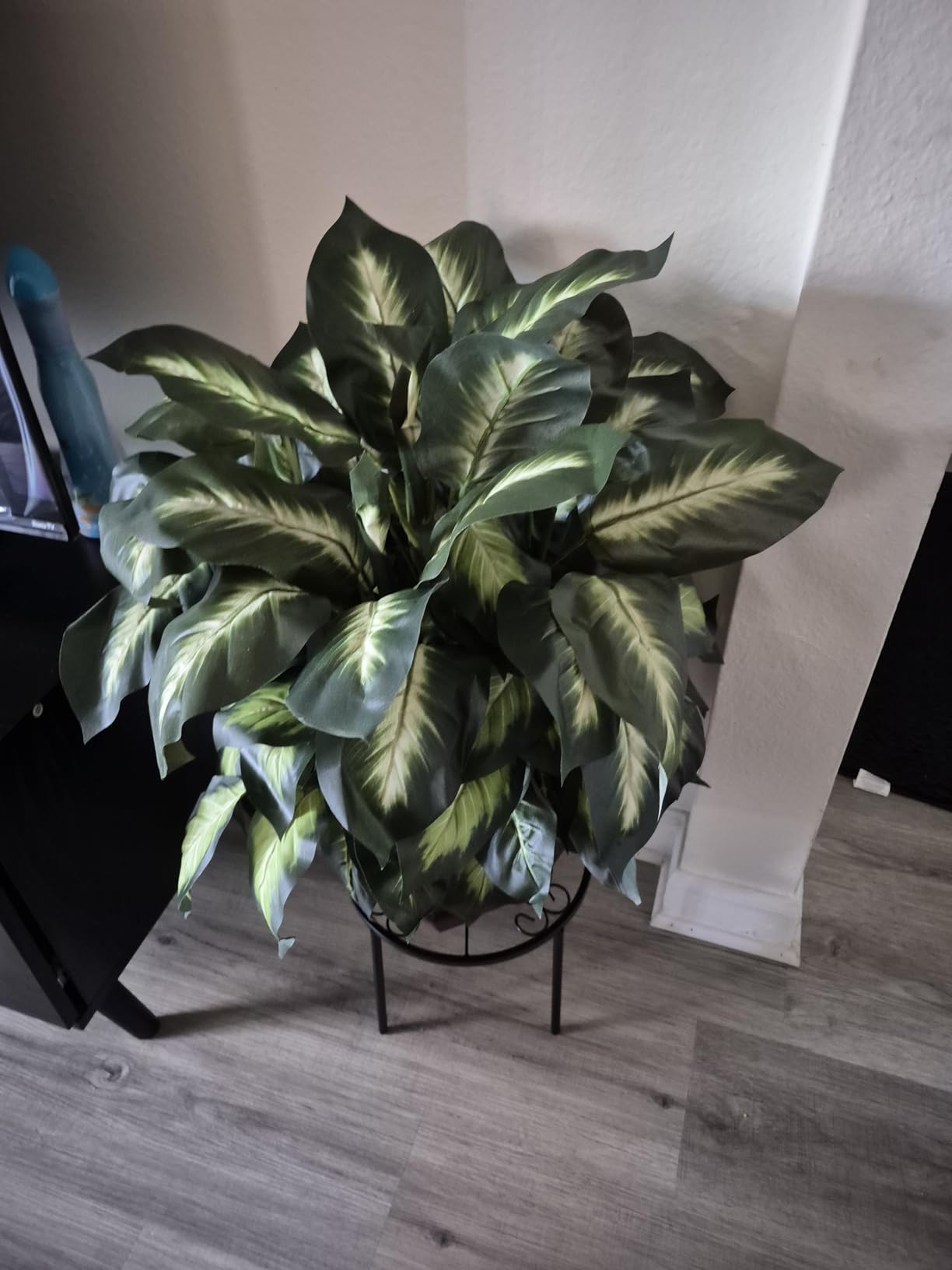 Nearly Natural 24 in Artificial Golden Dieffenbachia Plant with Pot customer photo 1