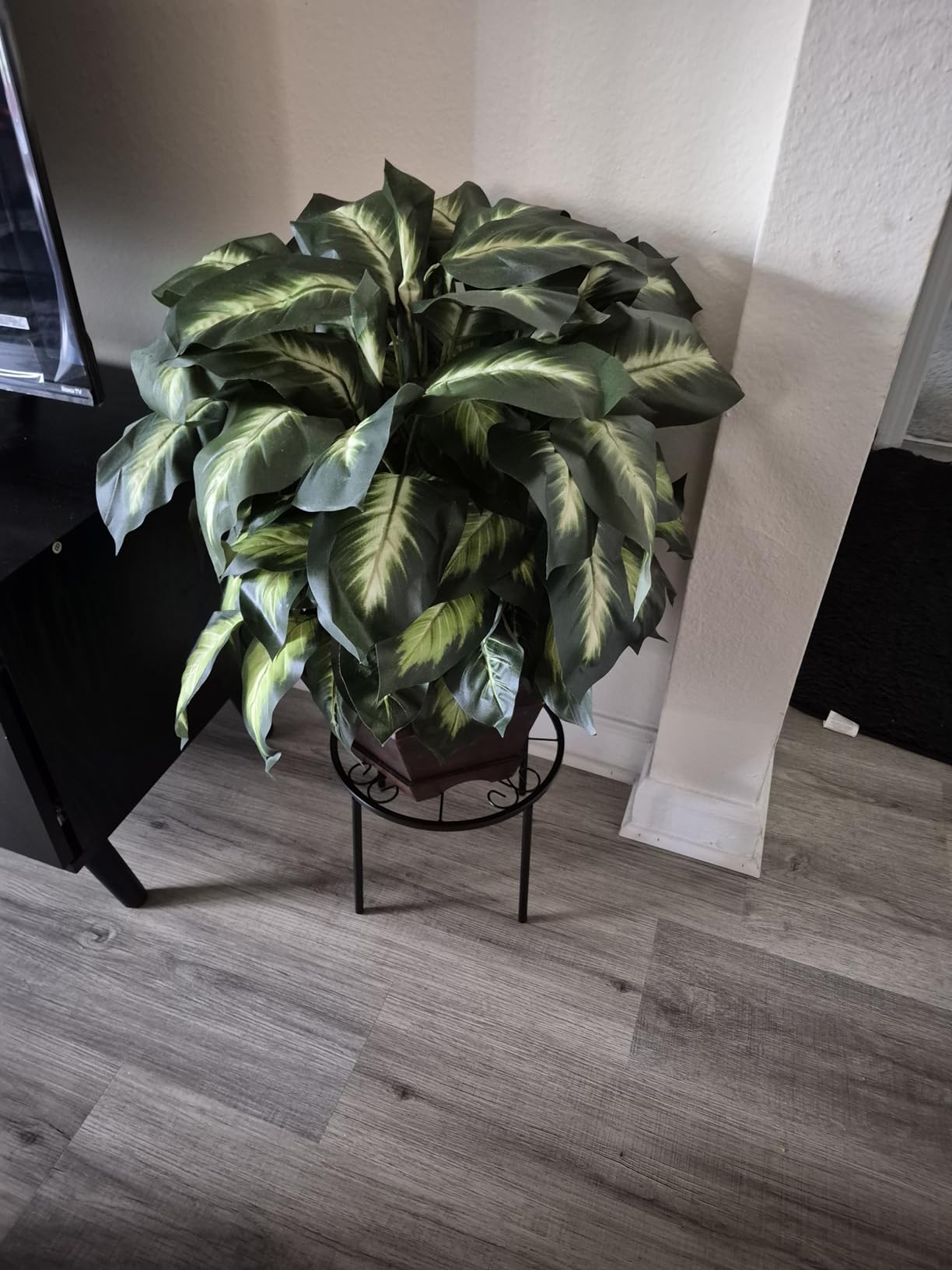 Nearly Natural 24 in Artificial Golden Dieffenbachia Plant with Pot customer photo 2