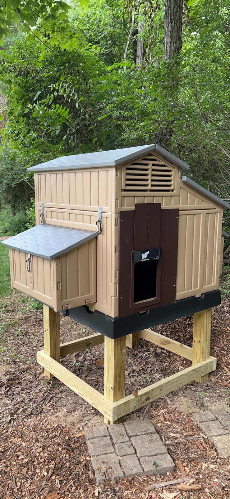 Hatching Time Formex Snap Lock 4-6 Large Chicken Coop, Backyard Hen House customer photo 2