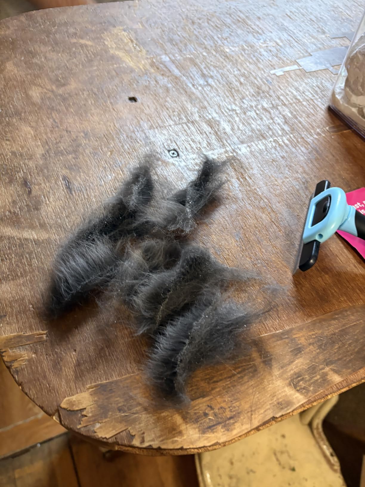 MIU COLOR Pet Grooming Brush, Deshedding Tool for Dogs & Cats, Blue customer photo 2