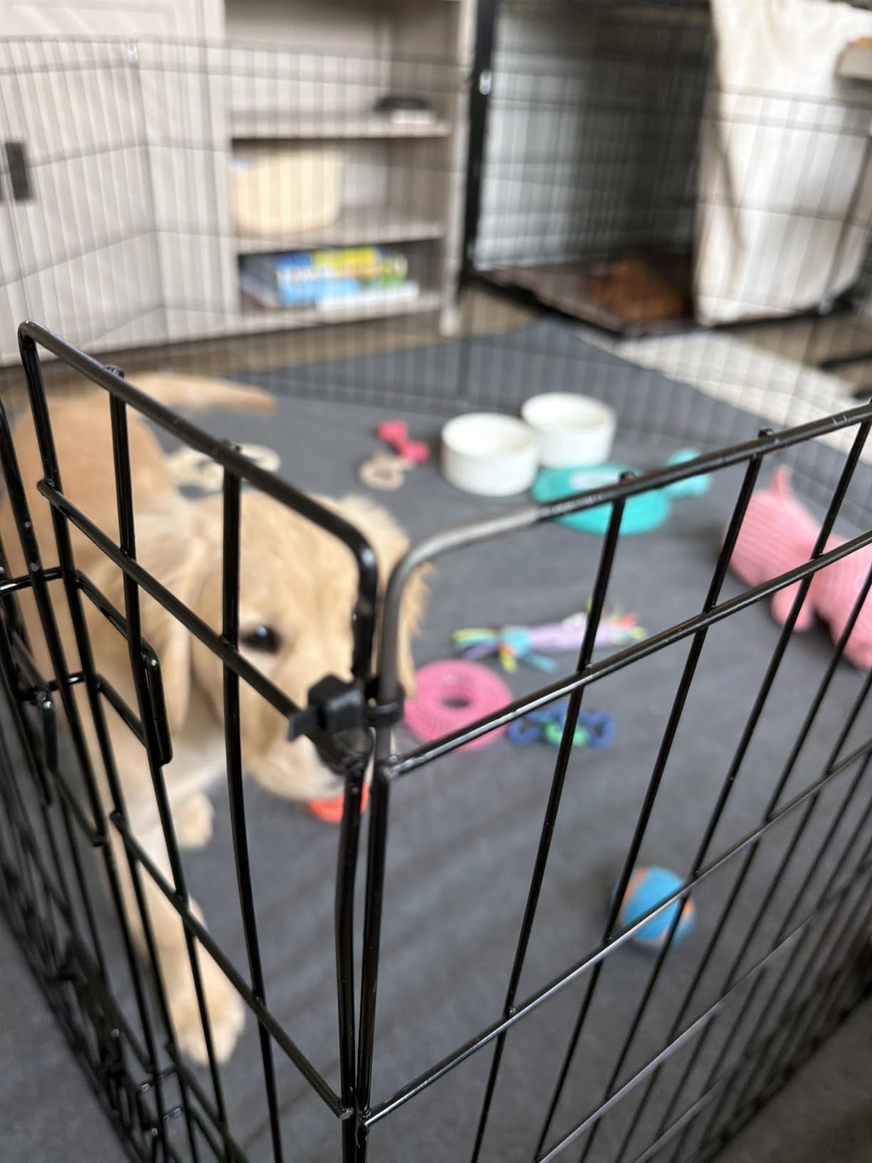Dog Playpen - Foldable Metal Exercise Puppy Play Pen with 8 24x30in Panels - Indoor/Outdoor Pen with Door for Dogs, Cats or Small Animals by PETMAKER customer photo 1