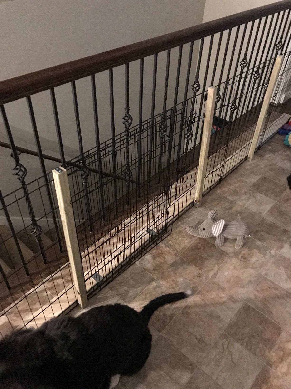 Dog Playpen - Foldable Metal Exercise Puppy Play Pen with 8 24x30in Panels - Indoor/Outdoor Pen with Door for Dogs, Cats or Small Animals by PETMAKER customer photo 2