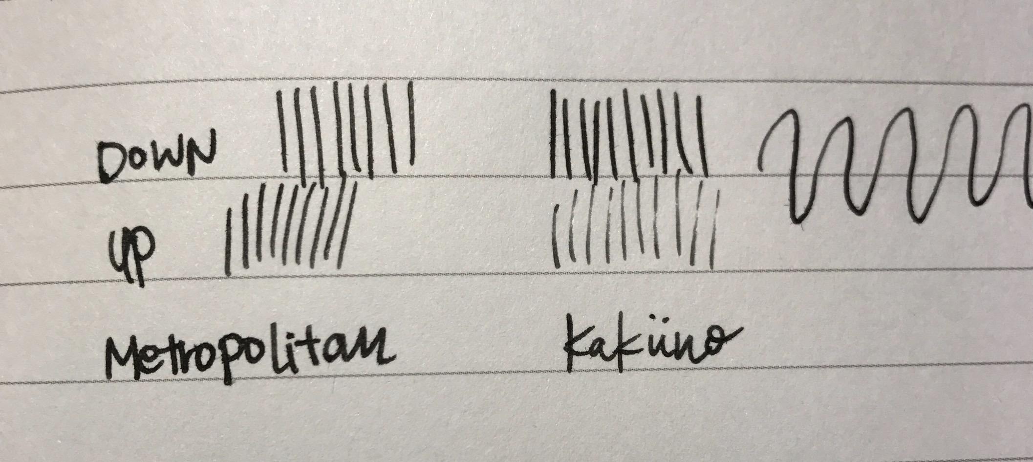 Pilot Kakuno Fountain Pen of Biginners, Fine Nib, Glay Body (FKA-1SR-GYF), Gray customer photo 1