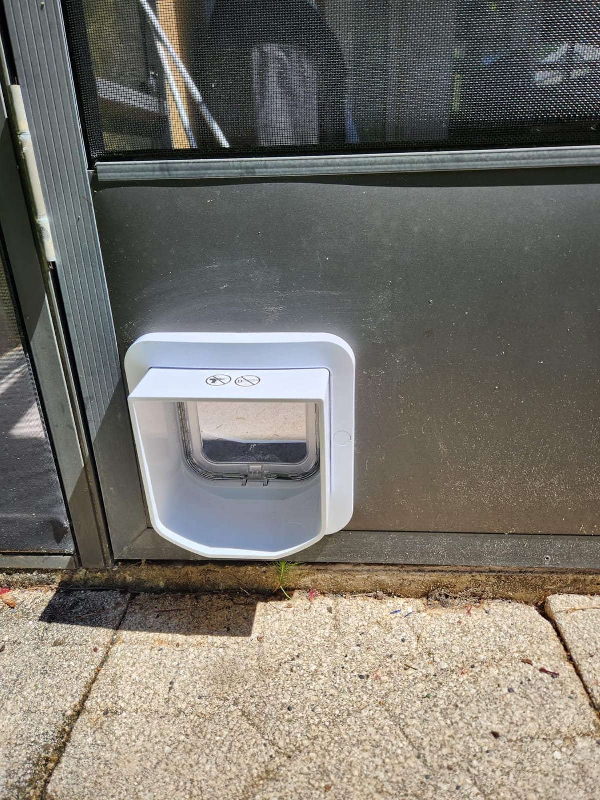 SureFlap DualScan Microchip Cat Door - Door Opening is 4 3/4