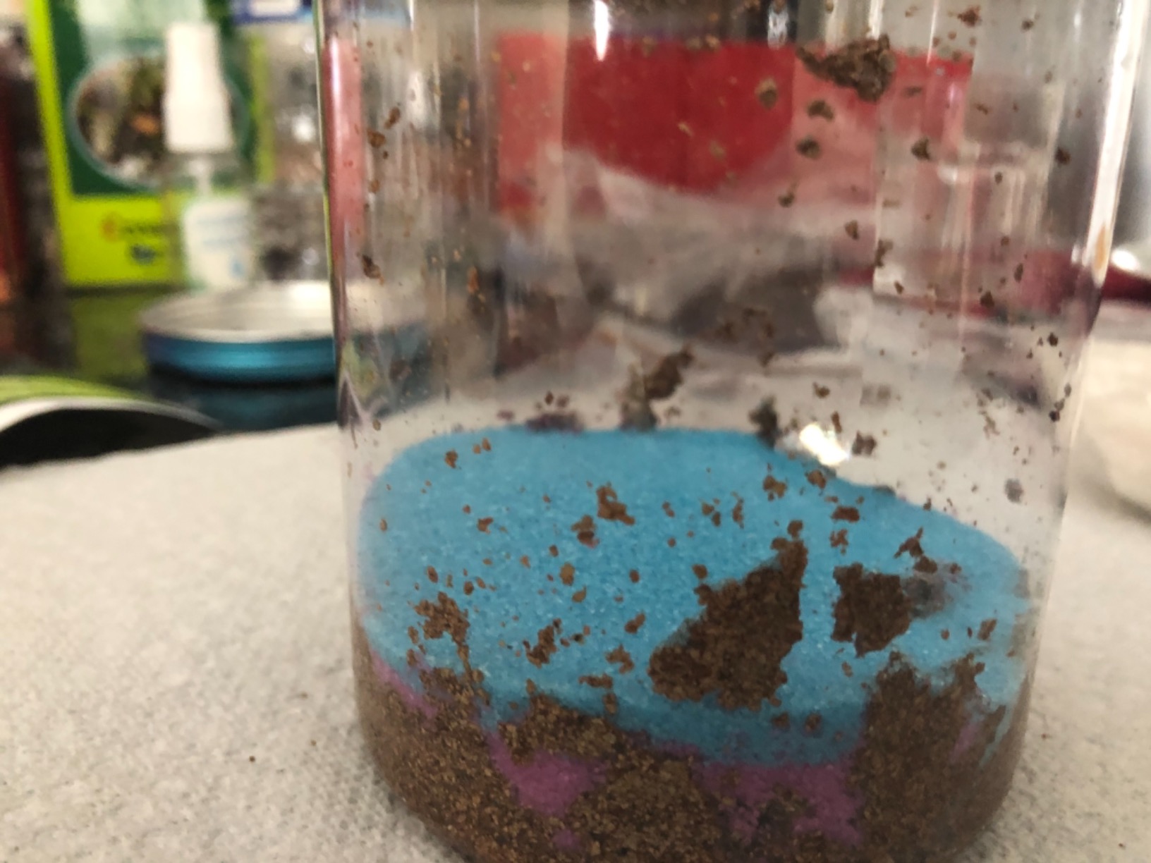 Creativity for Kids Grow 'N Glow Terrarium Kit - Educational Science Kits | Screen Free Summer Fun Activities | Gifts for Boys and Girls | Craft and STEM Projects (Ages 6+) customer photo 2