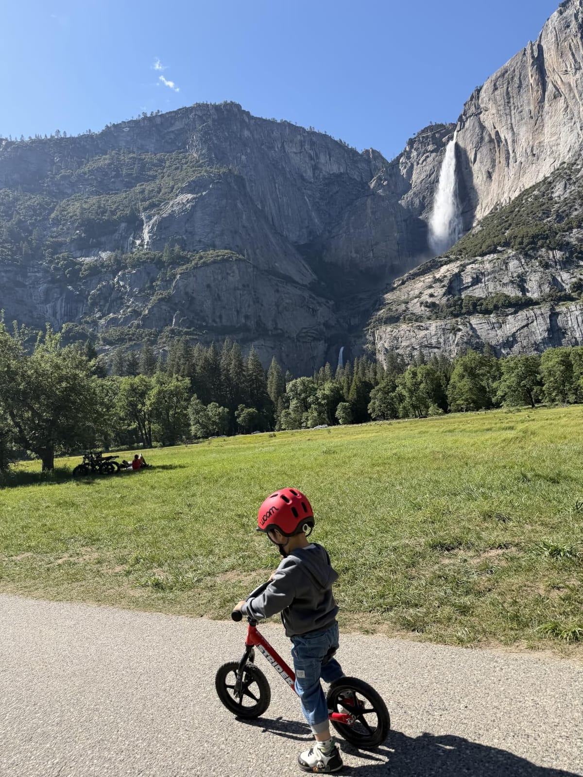 Strider 12 Sport, No Pedal Balance Bike for Kids Ages 1–4 Years, Blue customer photo 2