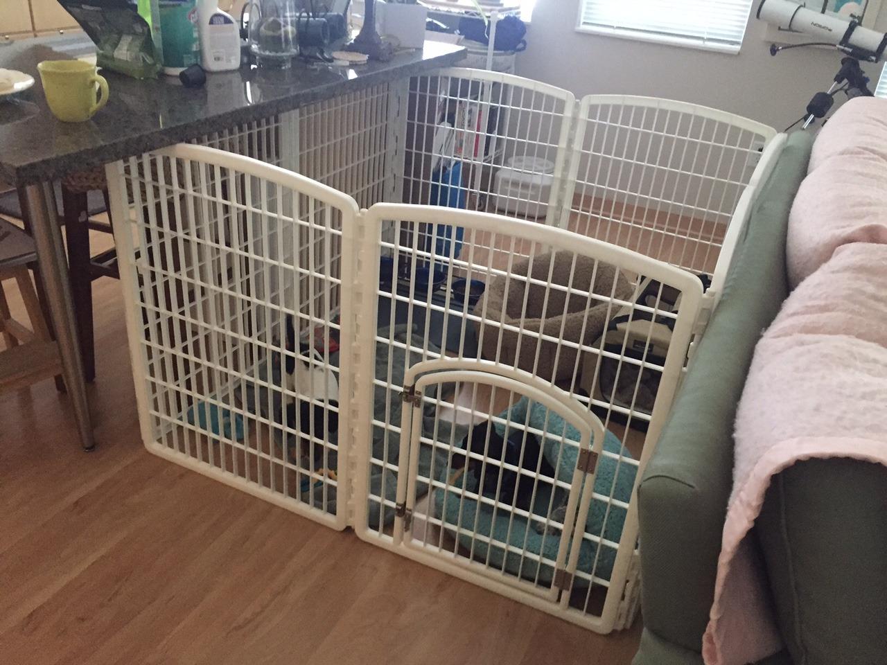 IRIS USA 8-Panel Dog Playpen, Pet Enclosure, Dark Gray customer photo 1