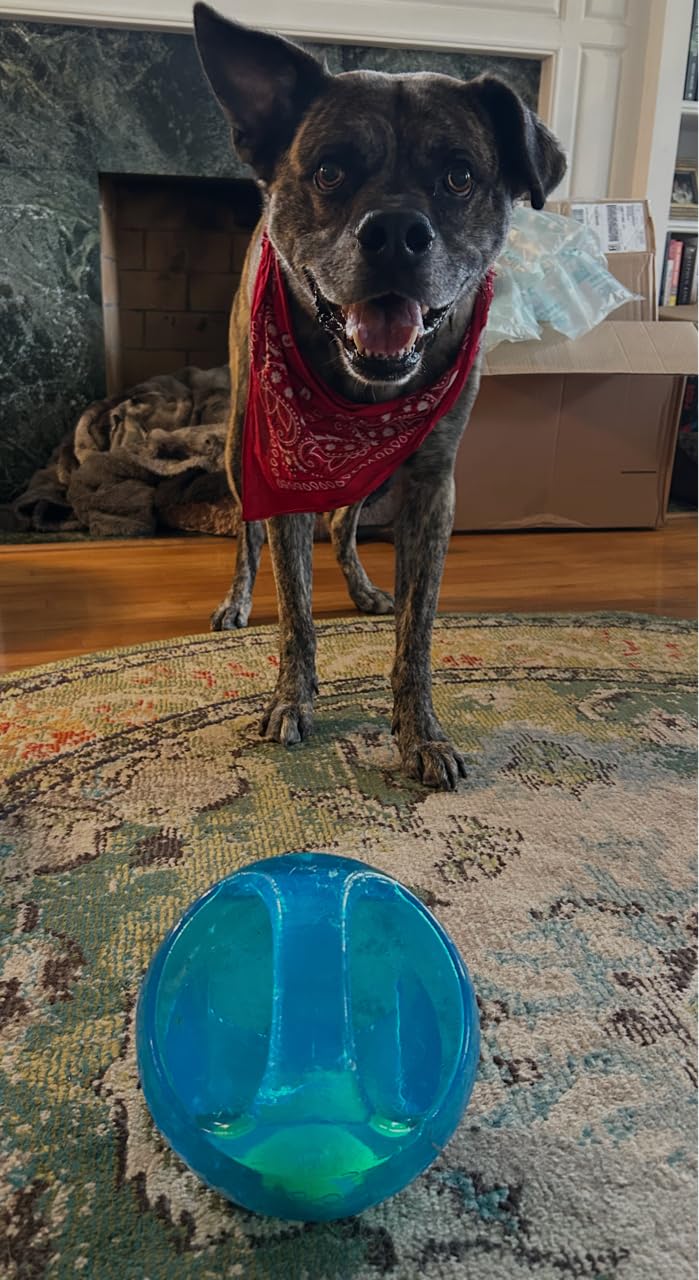 KONG Jumbler Ball, Interactive Fetch Toy, for Medium/Large Dogs, Assorted customer photo 1