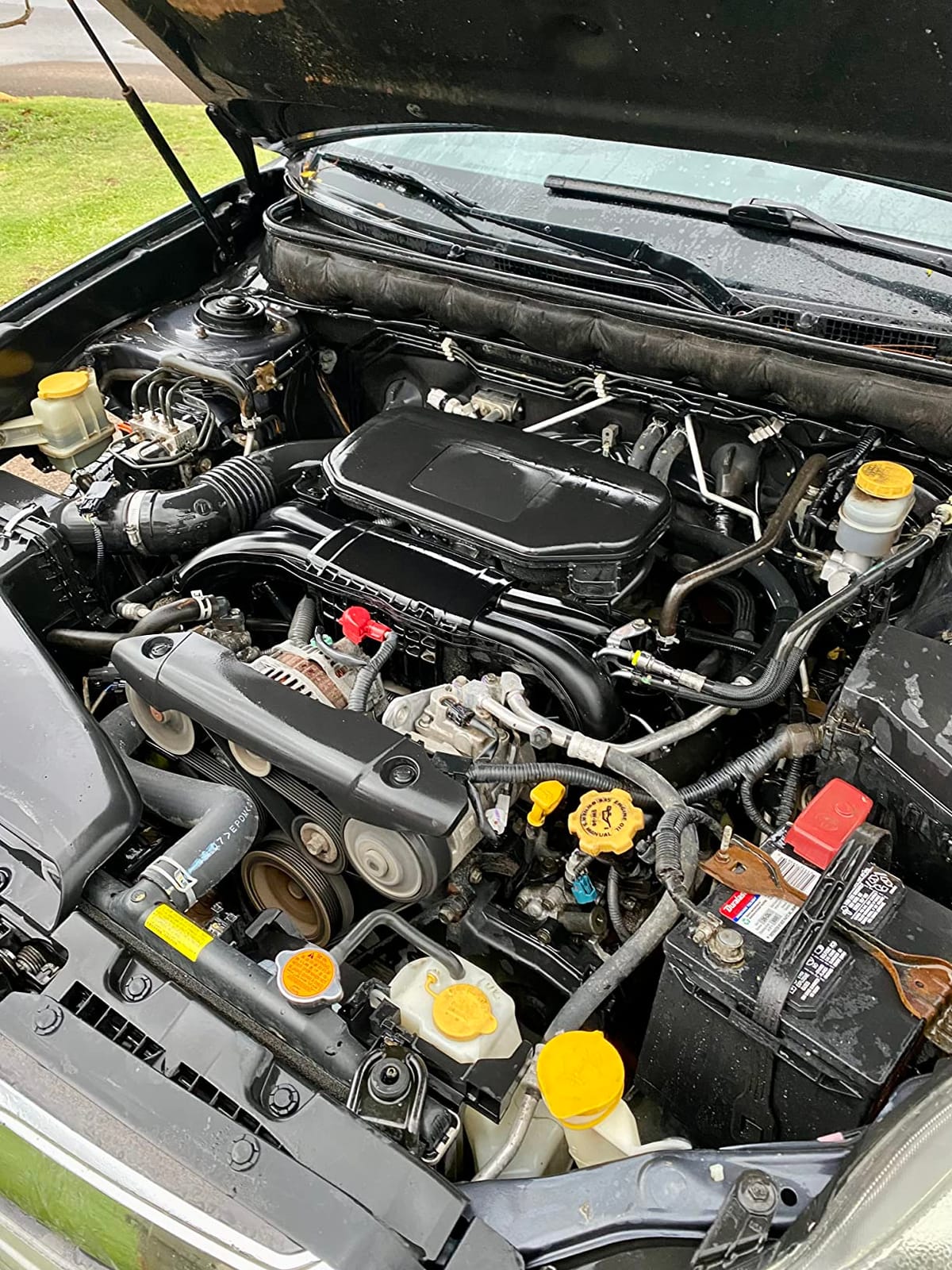 SONAX Heavy Duty Engine Degreaser, Automotive Engine Bay Cleaner, 16.9 oz customer photo 2