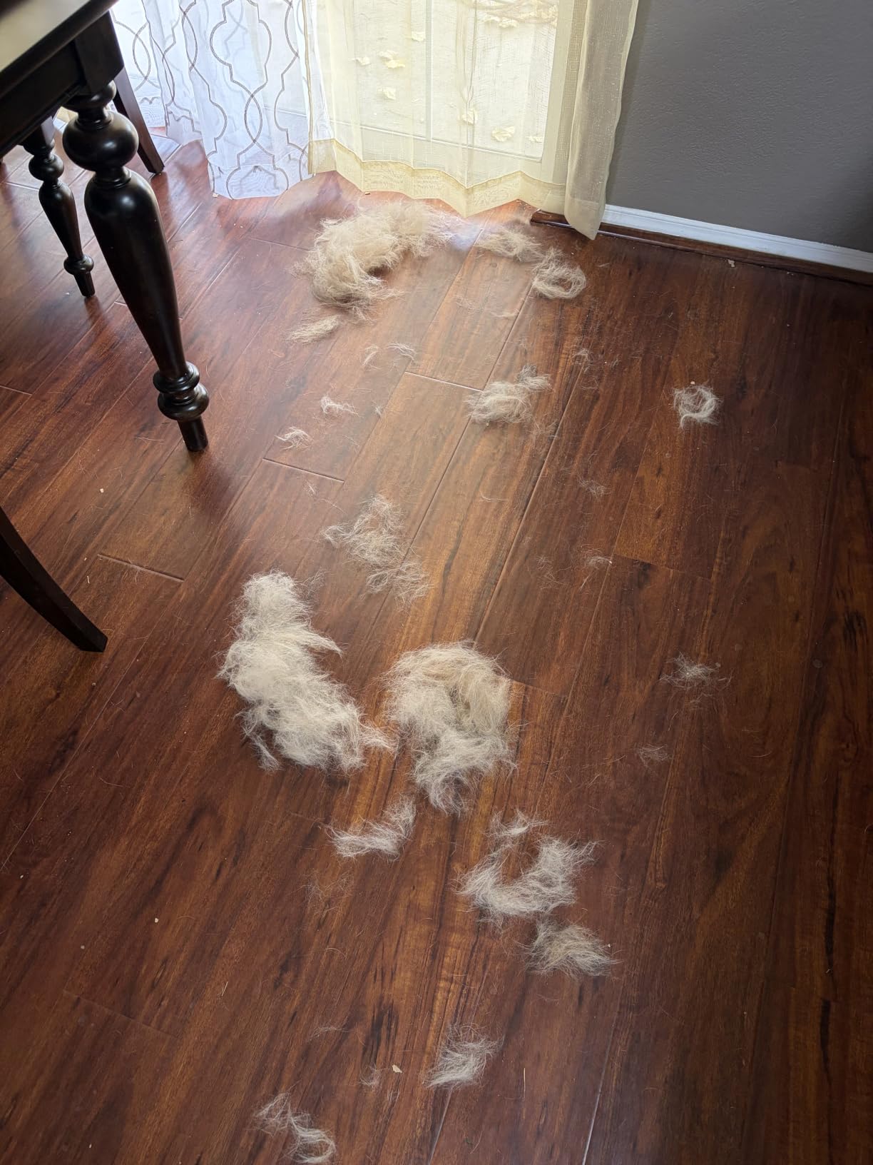 SleekEZ Dog Brush for Shedding | Patented Deshedding Dog Brush | Pet Hair Remover for Short, Medium & Long Coats | Made in USA | 5 Inch customer photo 1
